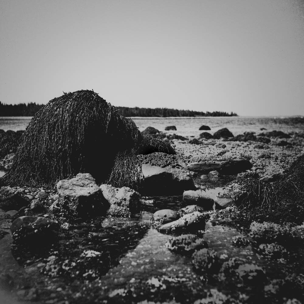 img004.jpg