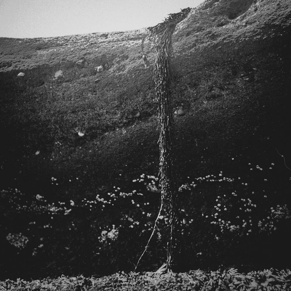 img003.jpg