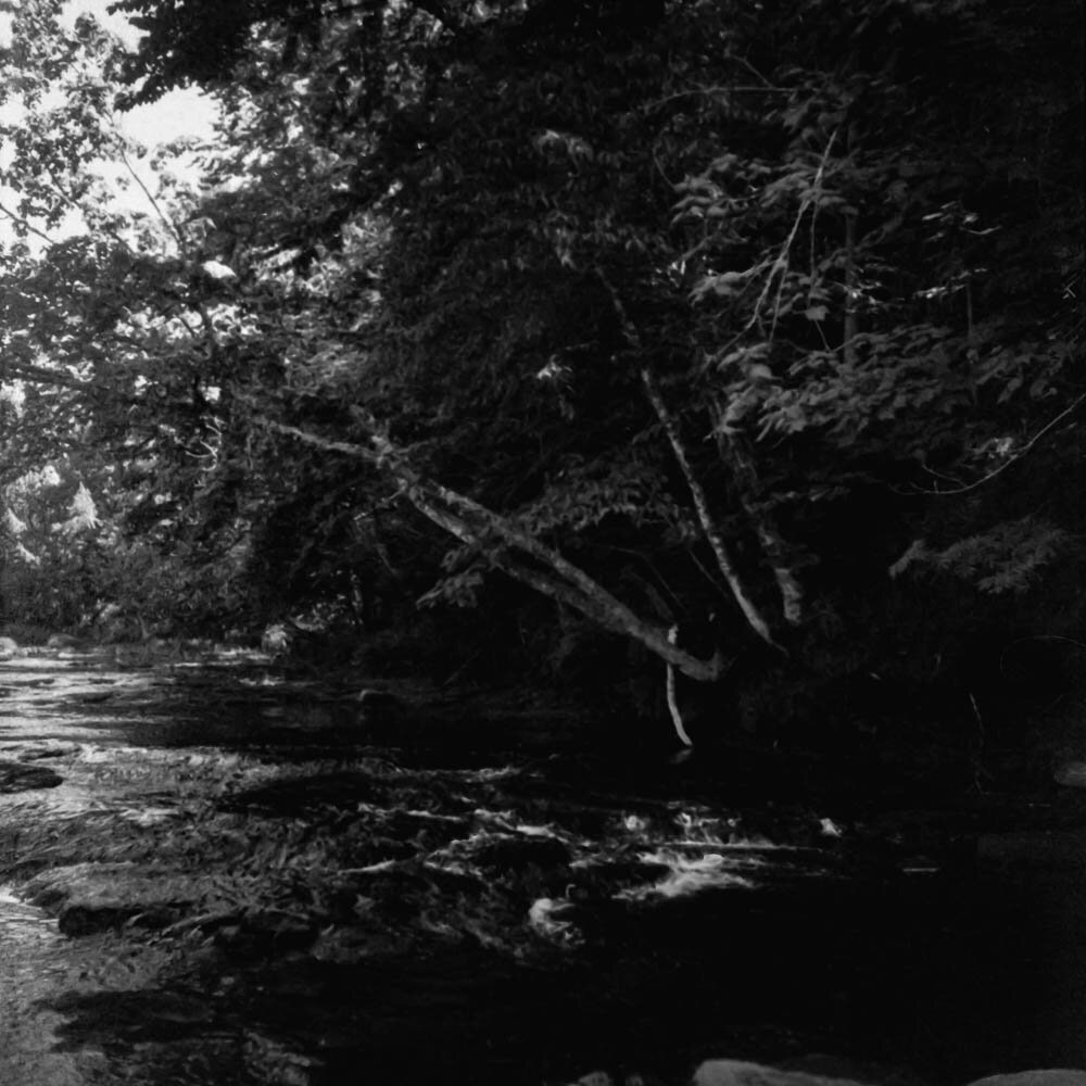img013.jpg