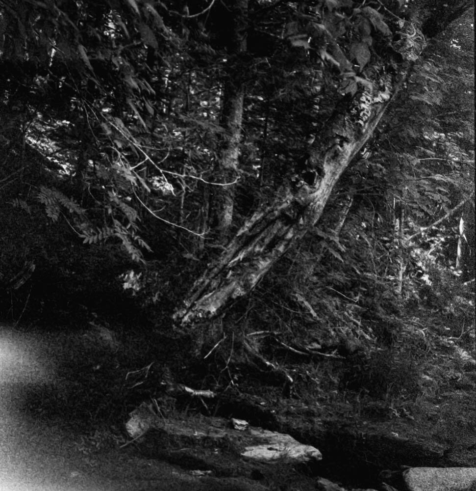 img015.jpg