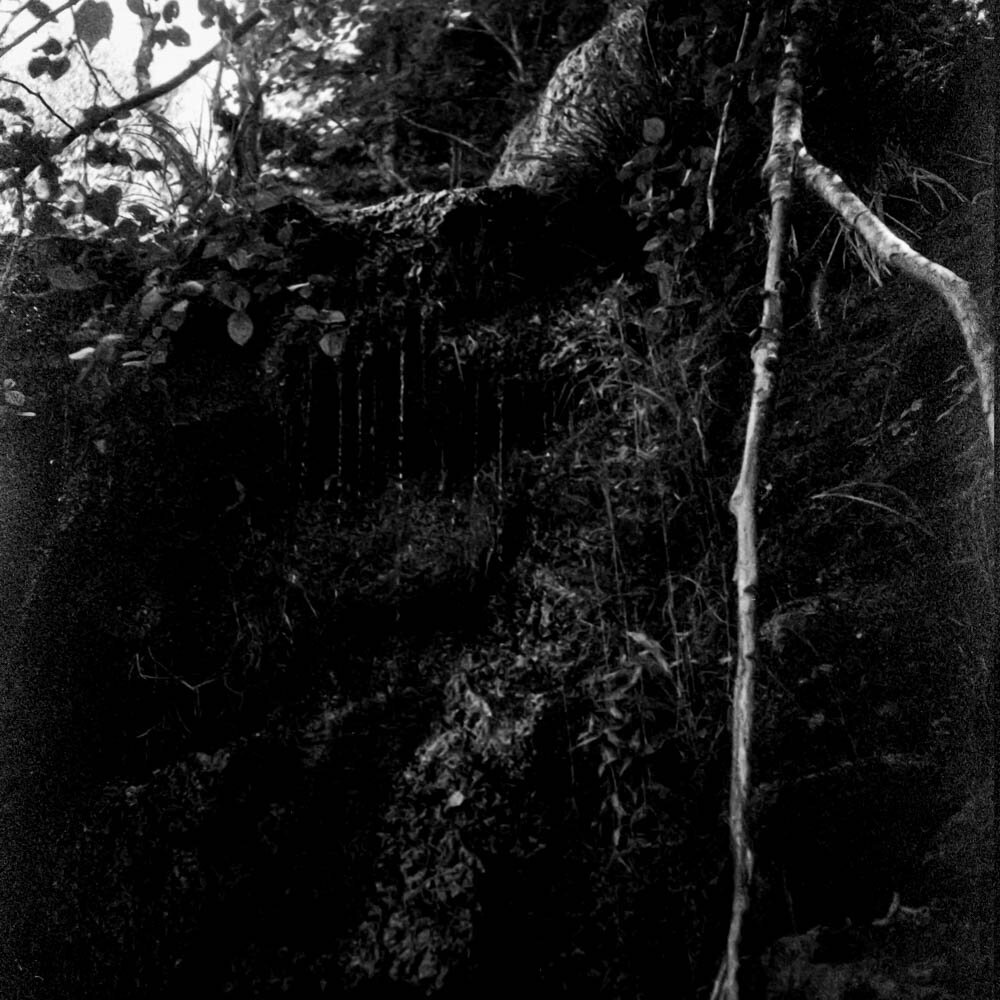 img020.jpg