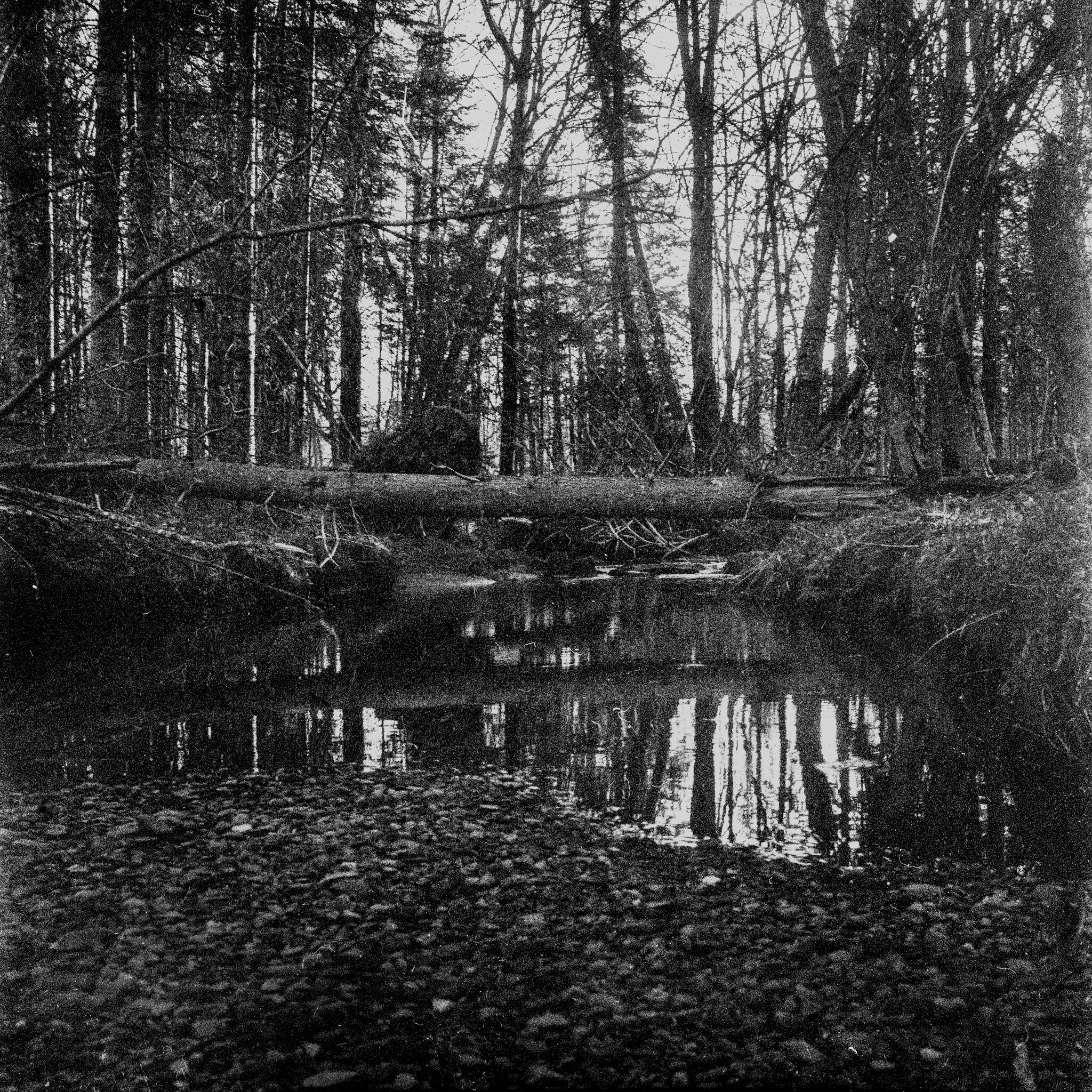 img009.jpg