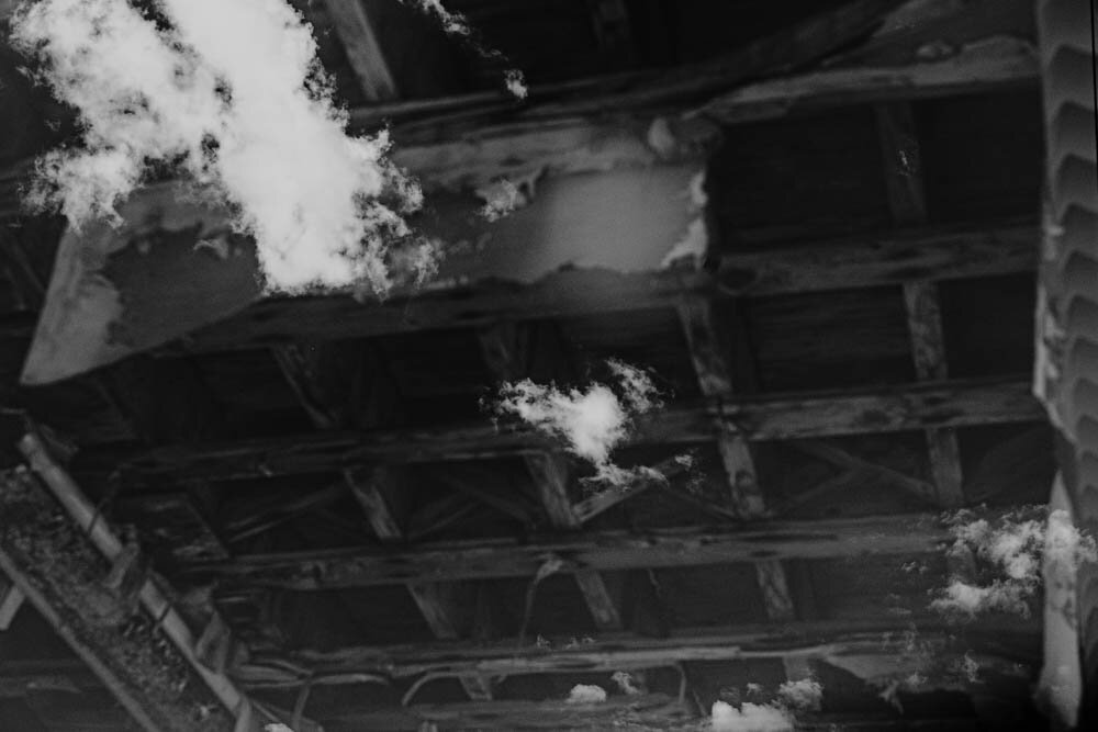 DSCF4070.jpg