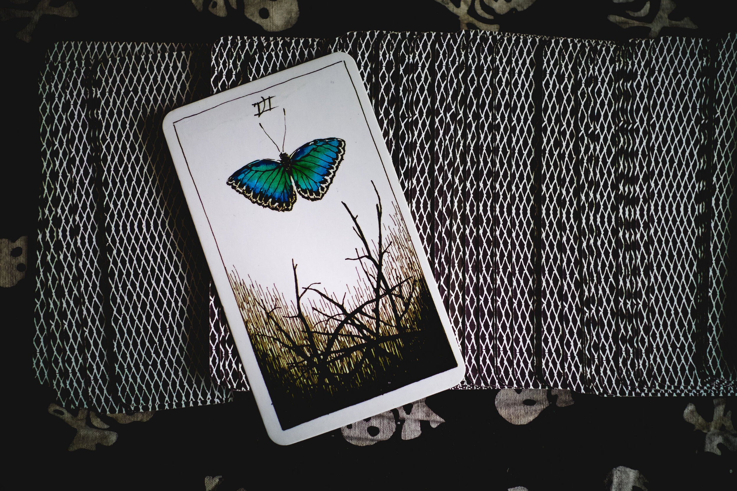 Tarot-SJPhoto-004.jpg