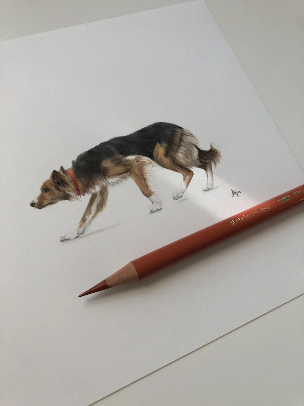 2023-09-26 17.14.38.jpg