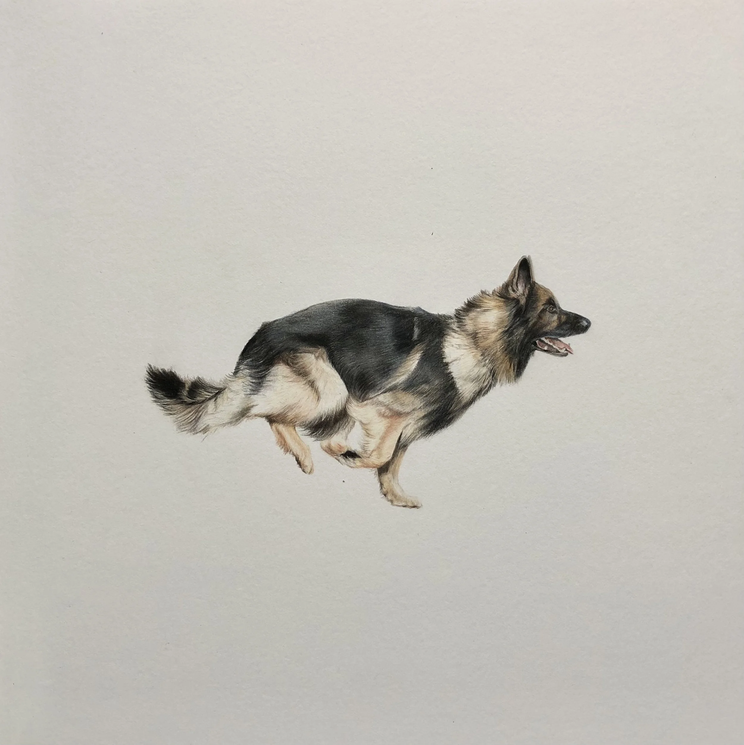 2022-12-12 12.17.54.jpg