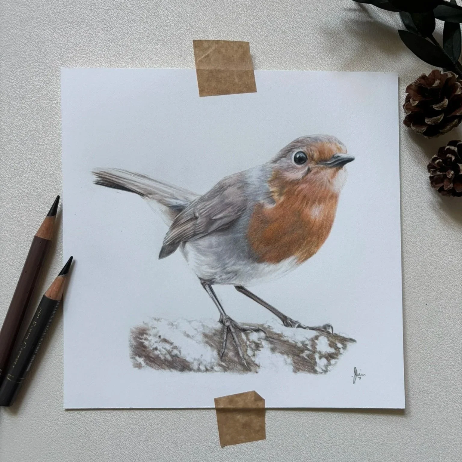 Robin Study |
6" x 6" on Bristolboard Vellum |
£180 (unframed)