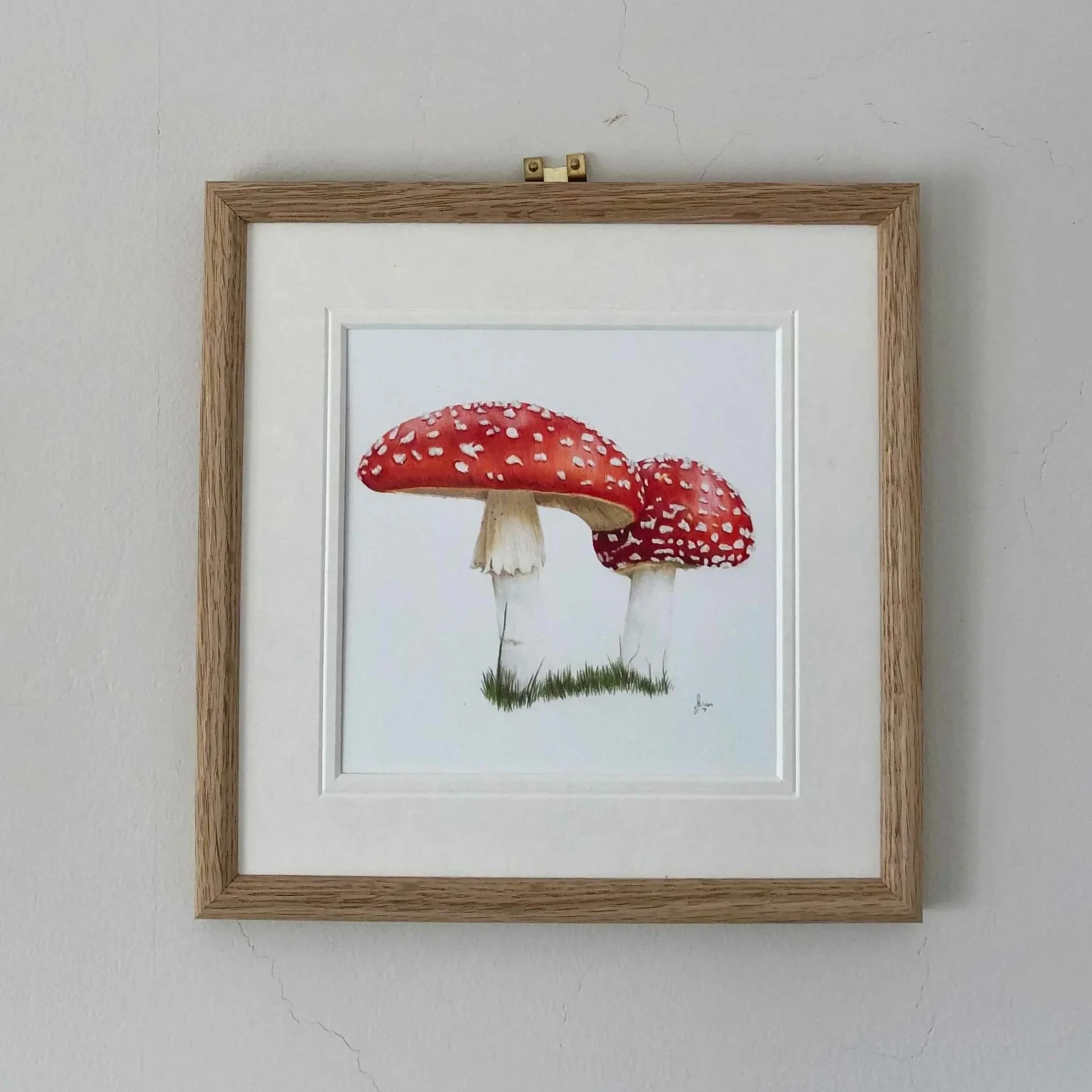 Fly Agaric |
6" x 6" on Bristolboard Vellum
£180 (framed)