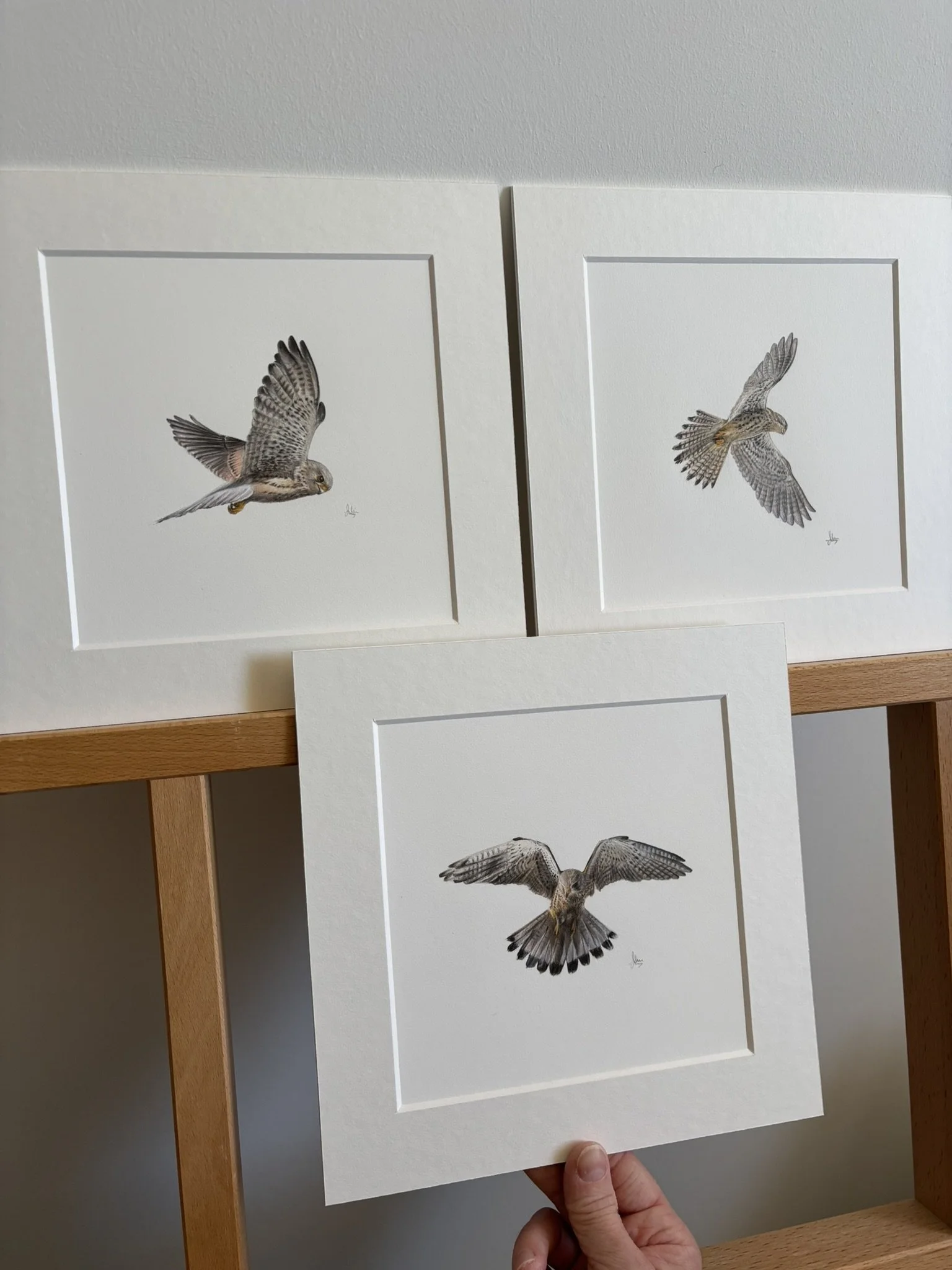 Kestrel Miniatures 01, 02 and 03 |
6" x 6" Miniature |
£100 each (unframed)