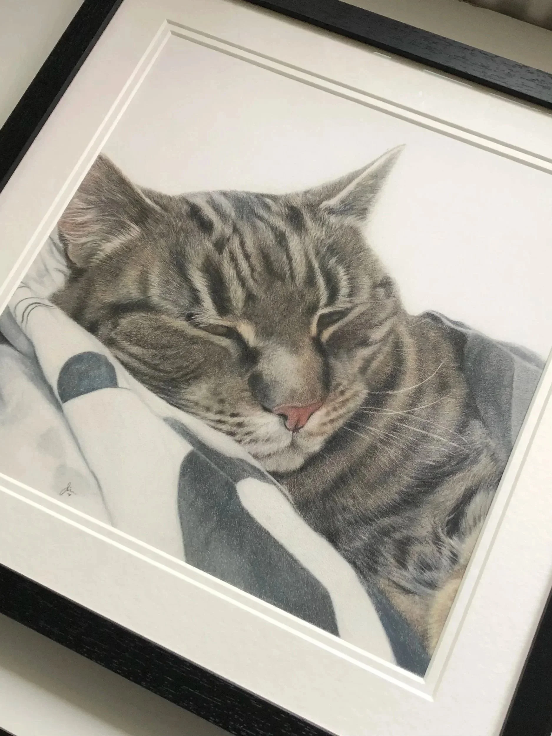 Photograph of a framed colored pencil drawing of a sleeping tabby cat with closed eyes, resting its head on a blanket.