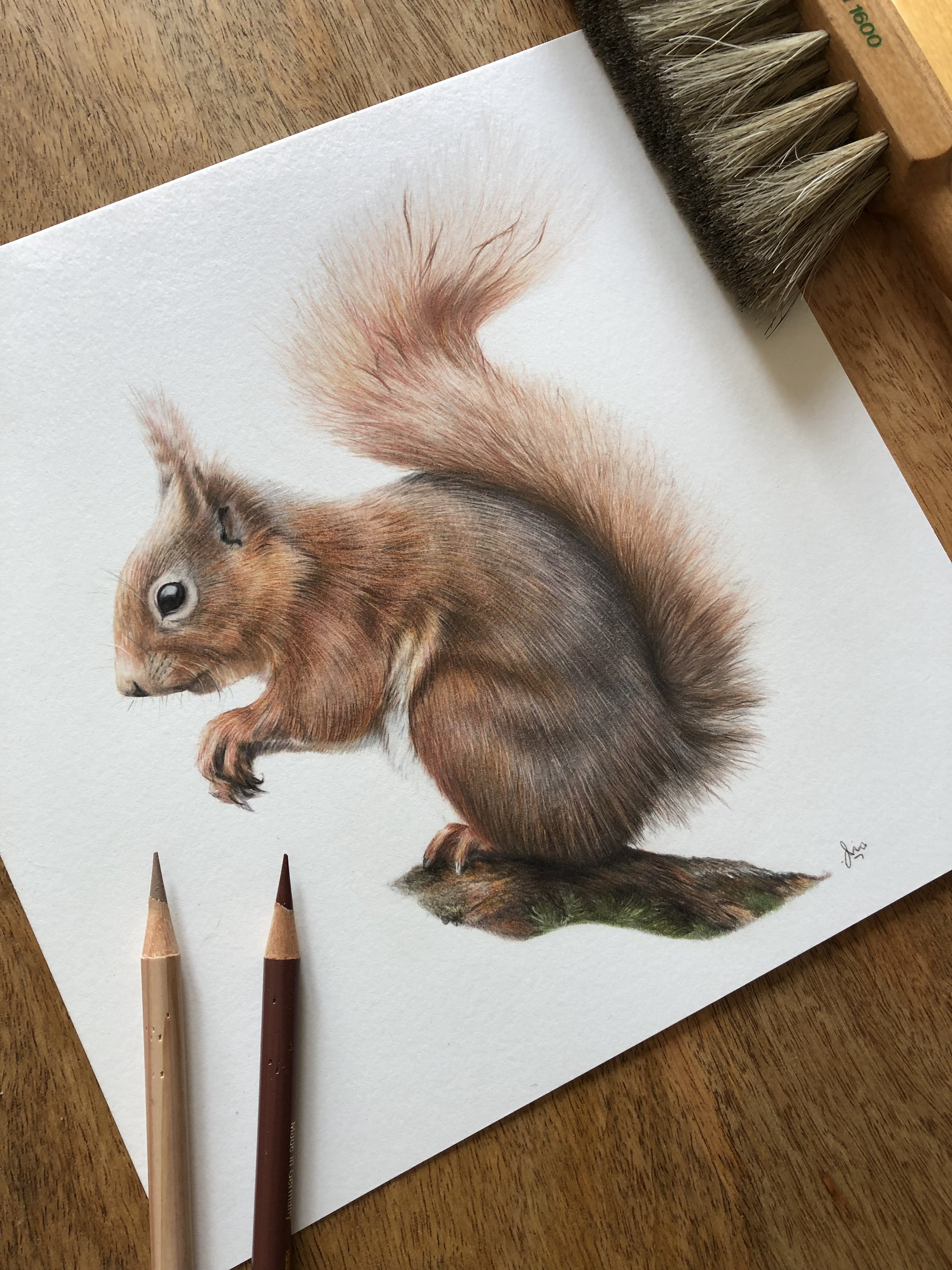 Regis the Red Squirrel |
9" x 9" on Bristolboard Vellum |
(SOLD)