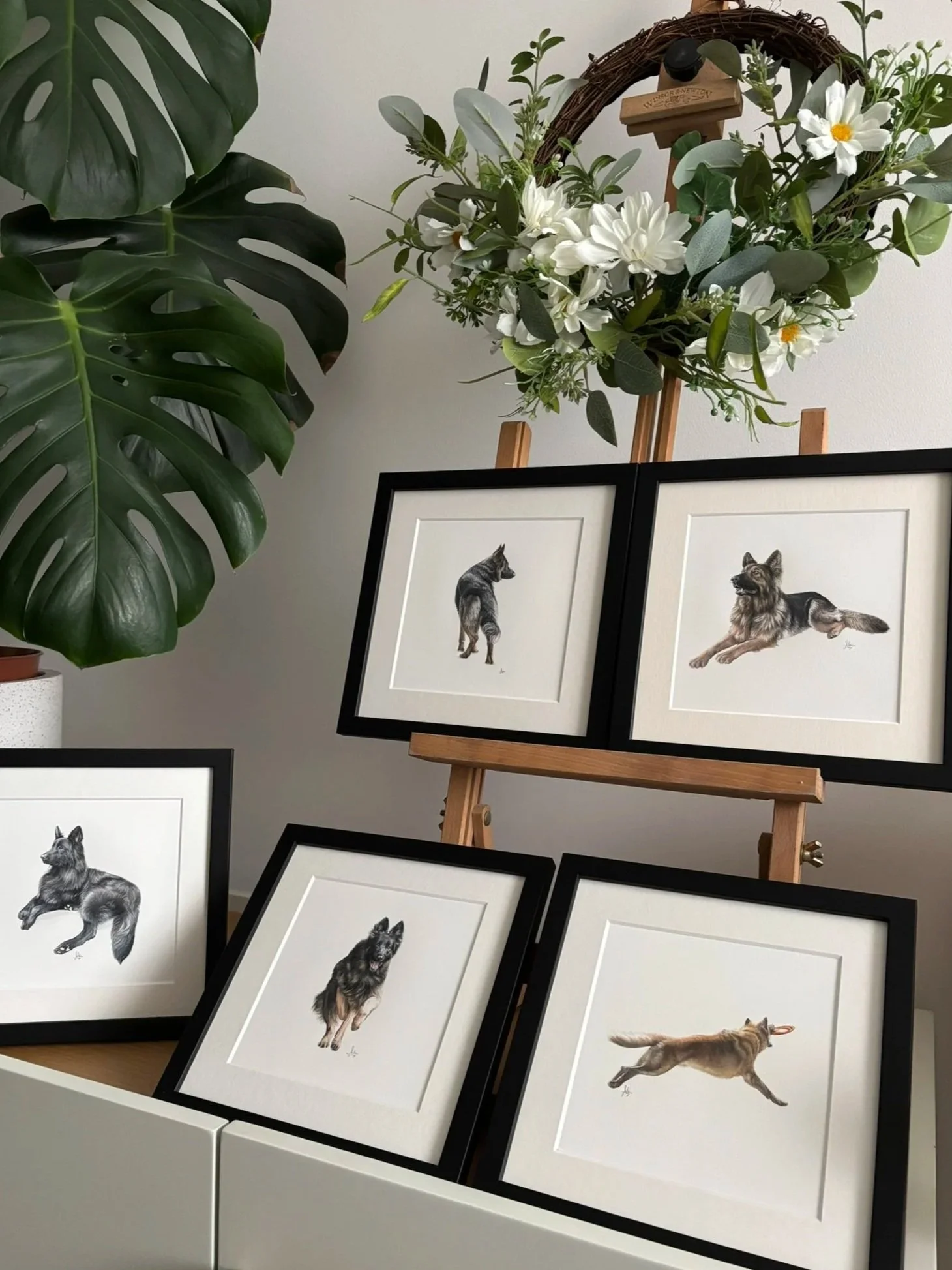 Display of framed animal artwork on a white cabinet, with a large leafy plant on the left and a flower arrangement on an easel in the background.