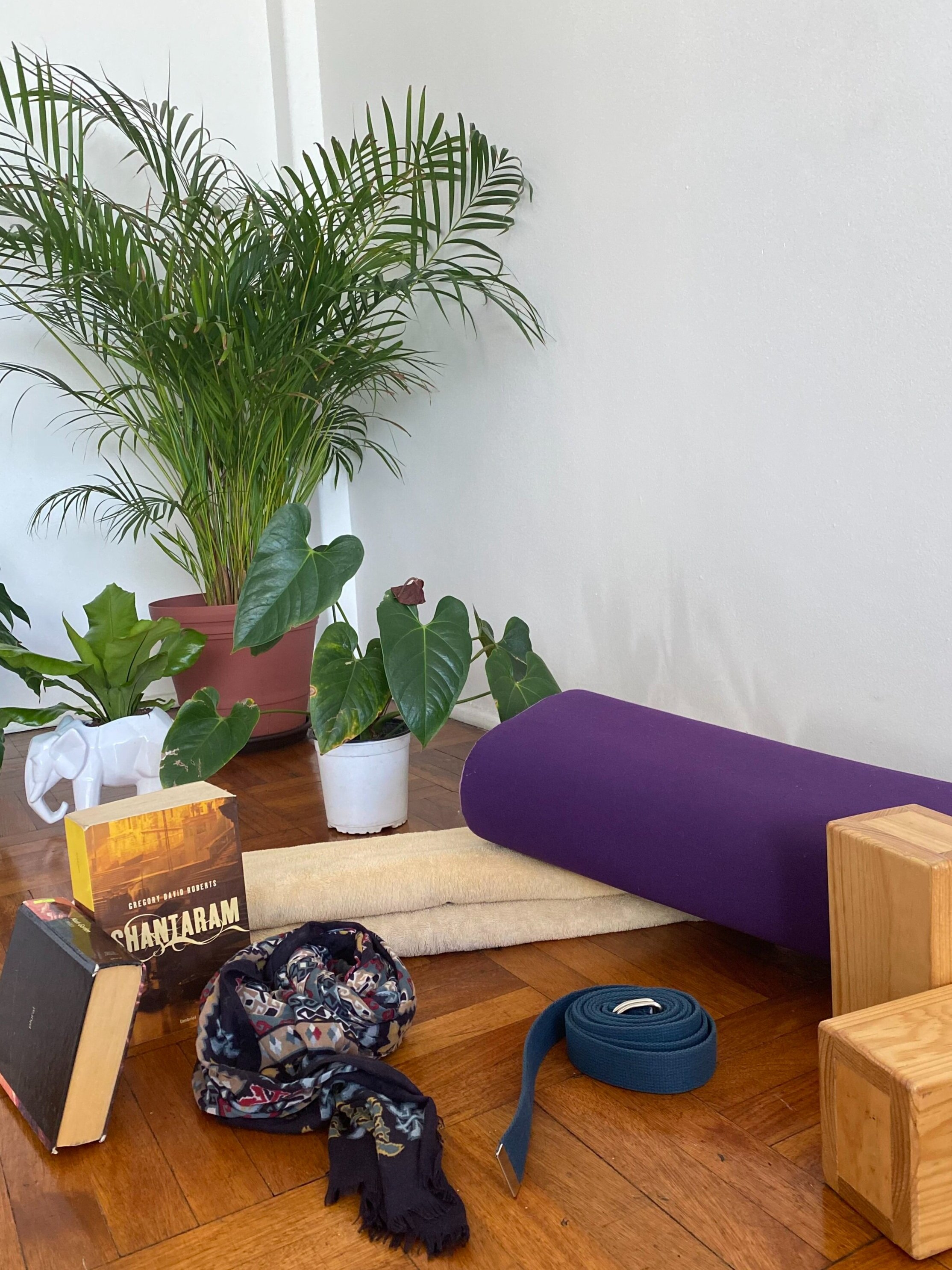 4 accesorios de yoga caseros para apoyar tu práctica — Danny Campos Yoga