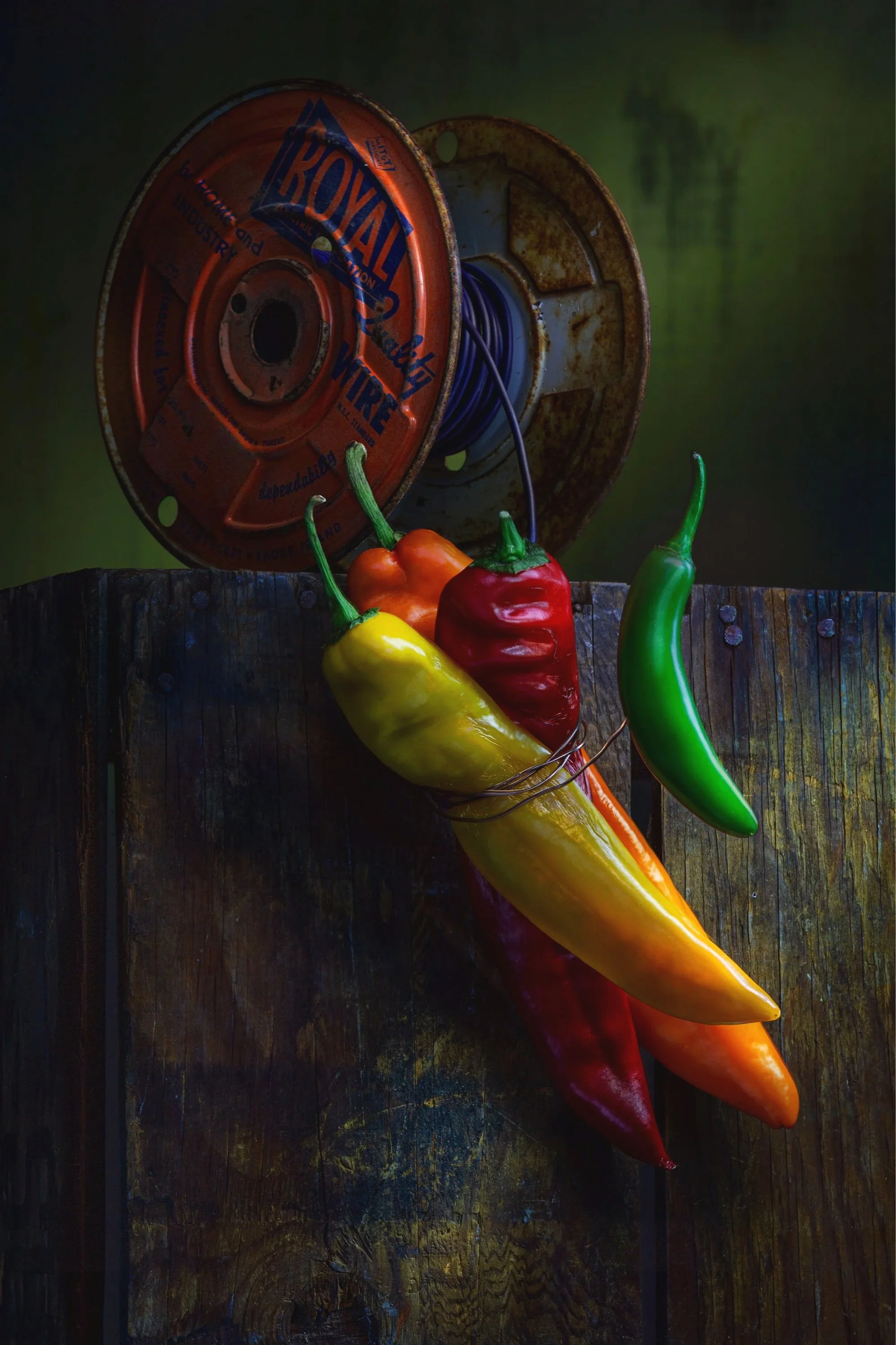 Painting with Light. Colorful chili peppers hanging on a wire on a rustic wooden surface with a rusty spool of garden wire in the background.