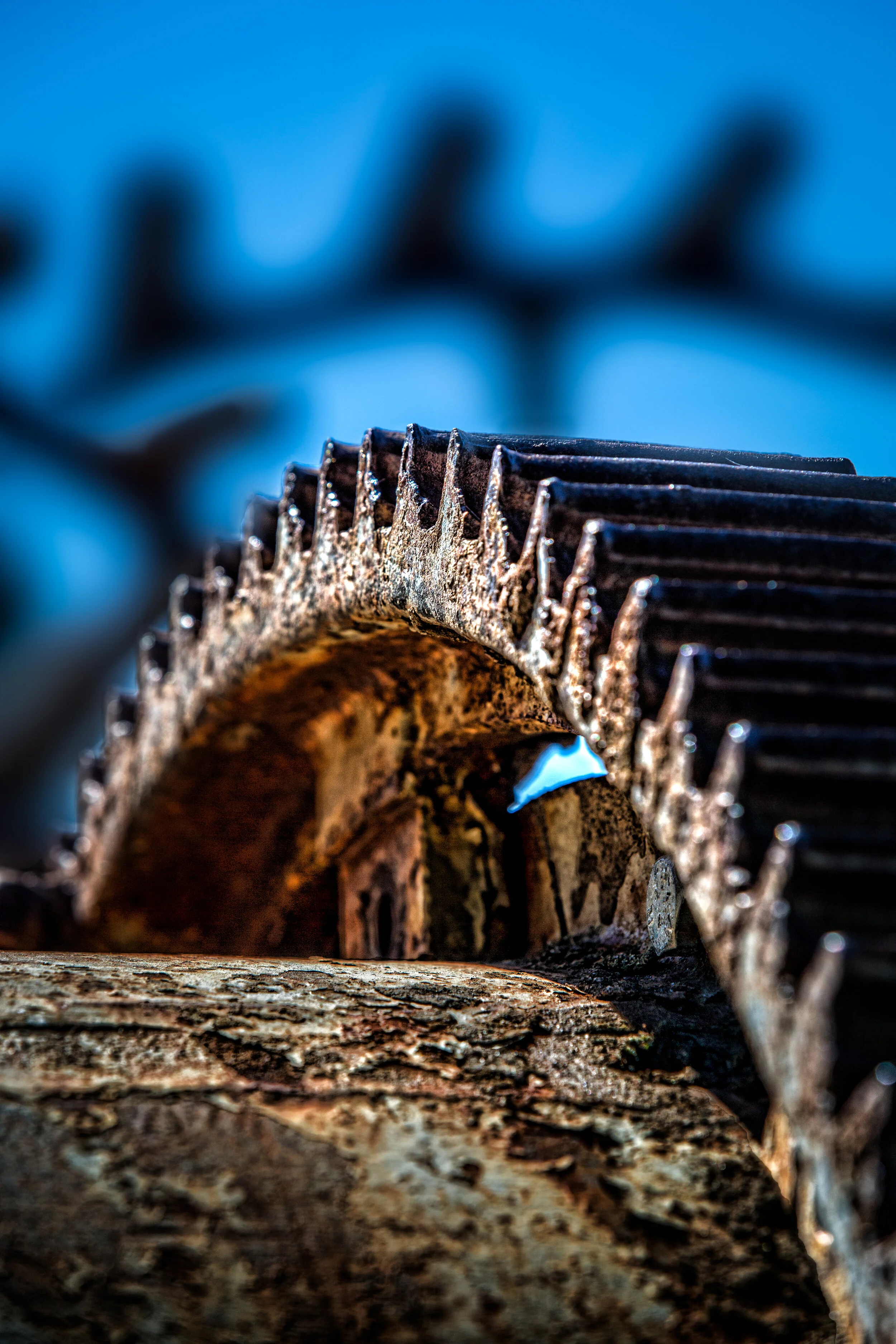 Rusty-Sprocket-2-ss.jpg