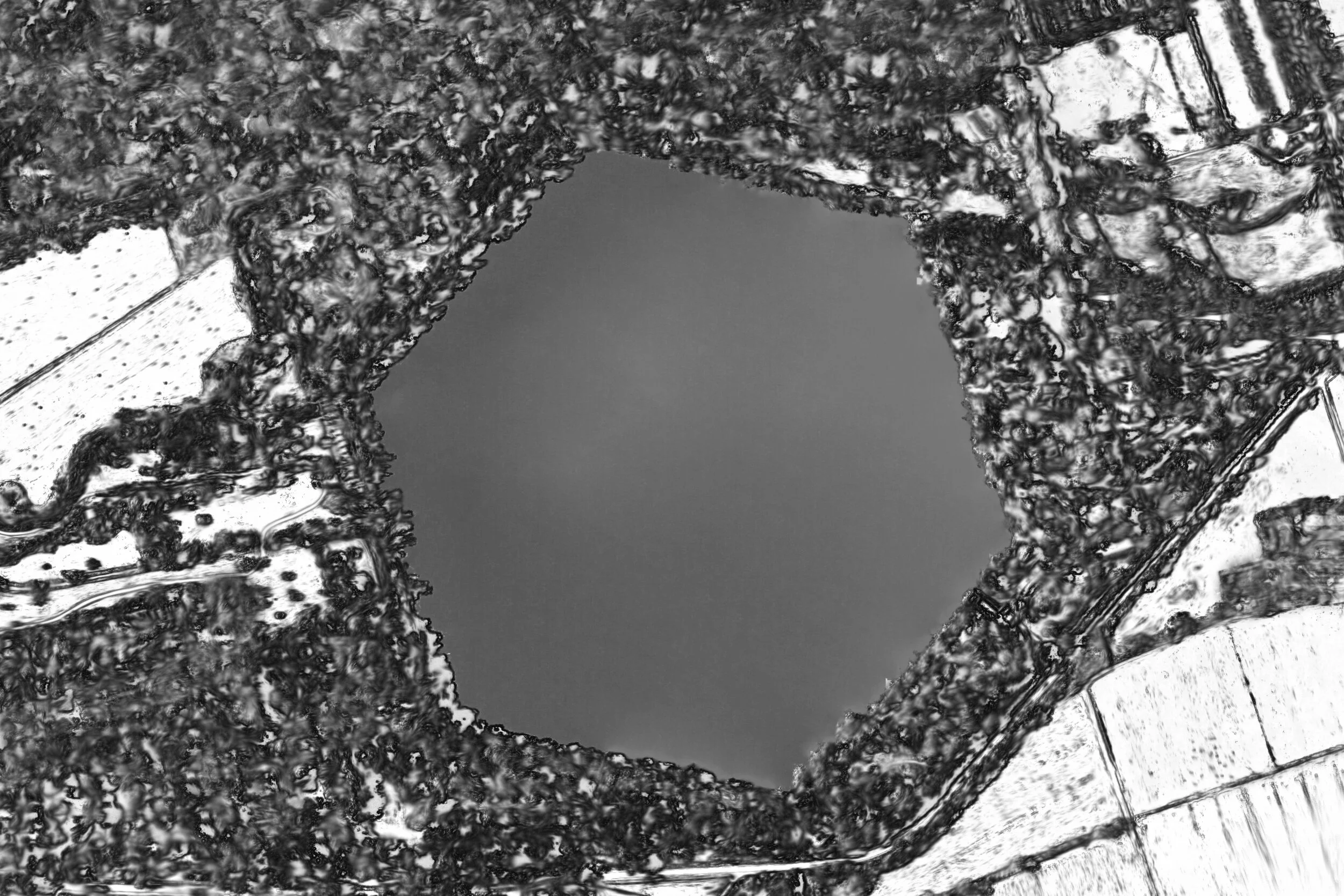 THE REFLECTED HEXAGON, 2010