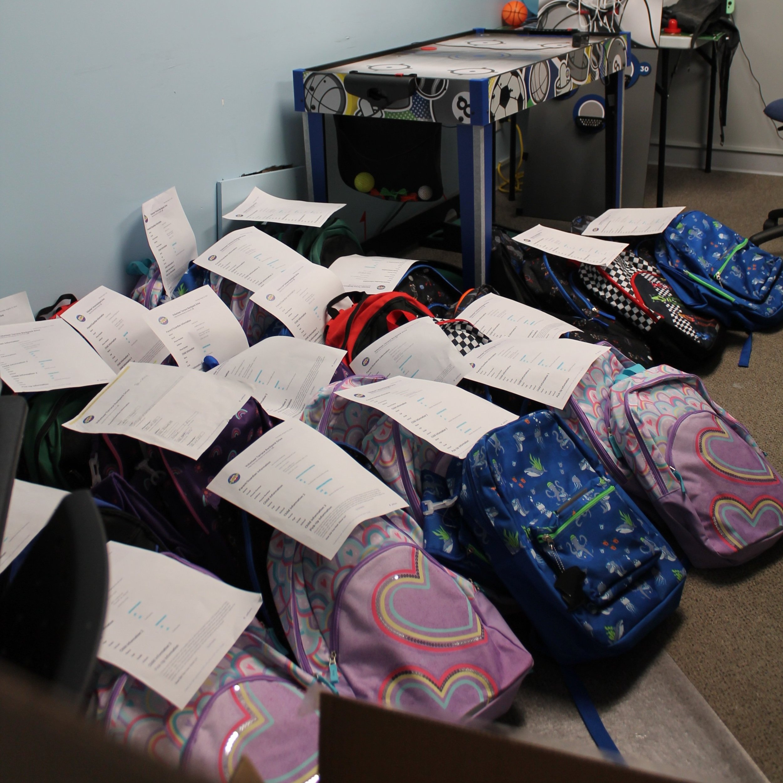 backpackdrivepic.jpg