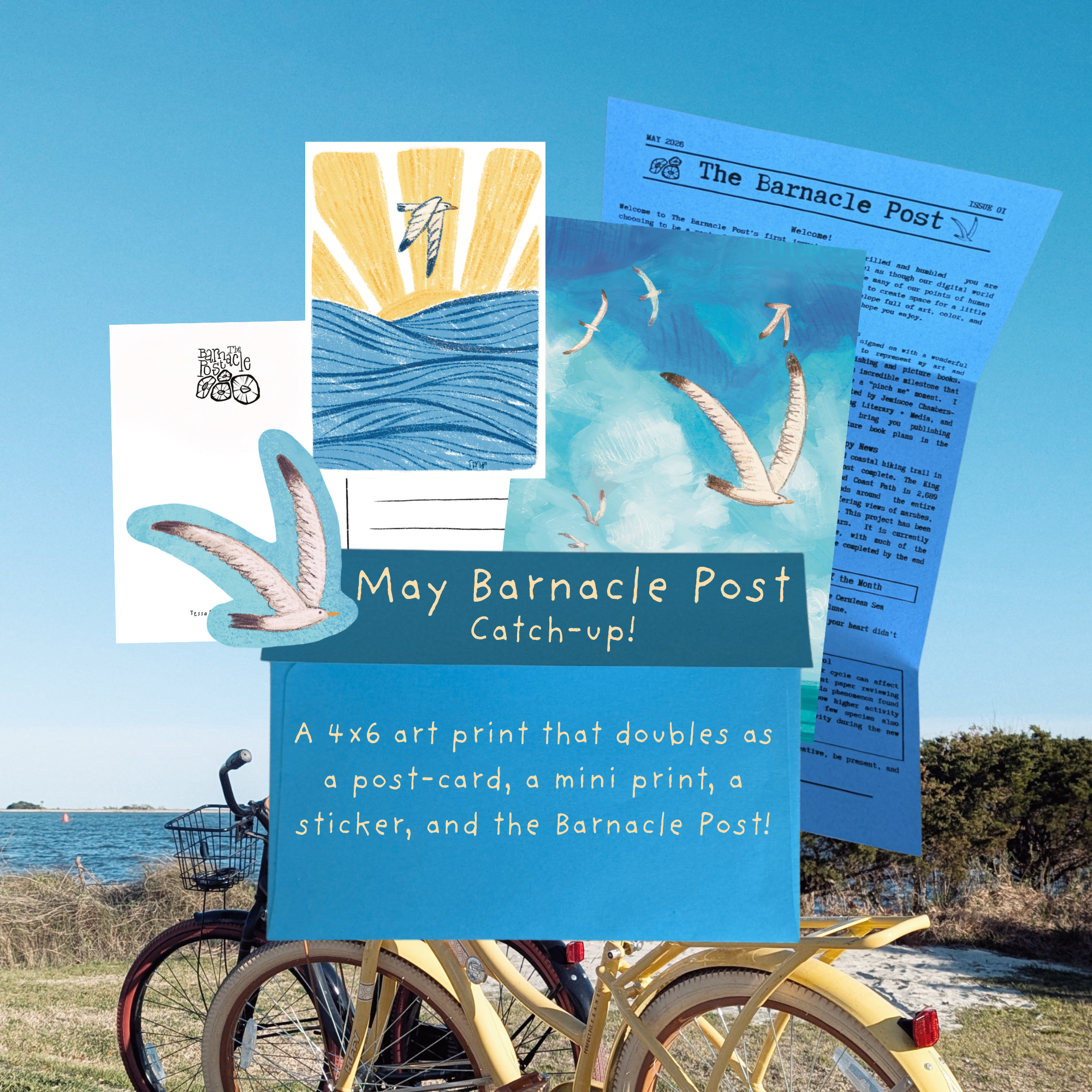 May Barnacle Post catchup