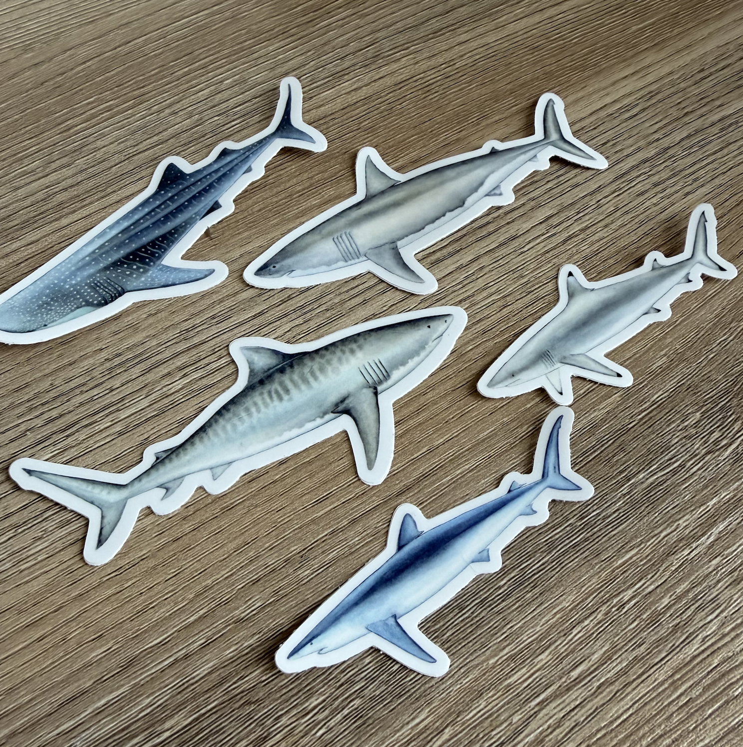 Screenshot 2025-12-07 at 12.18.13 PM.png