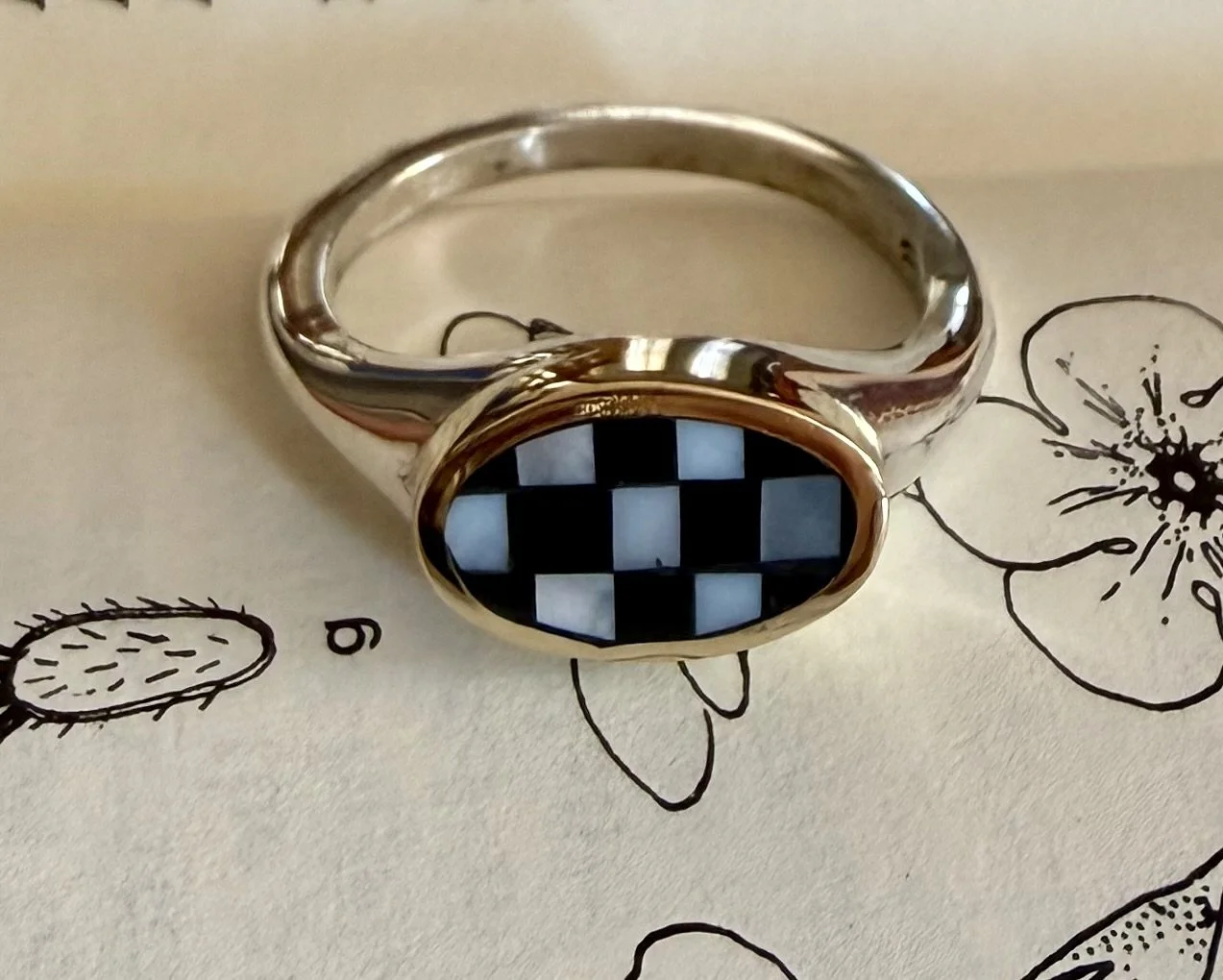 IMG_3339.jpeg (Copy)