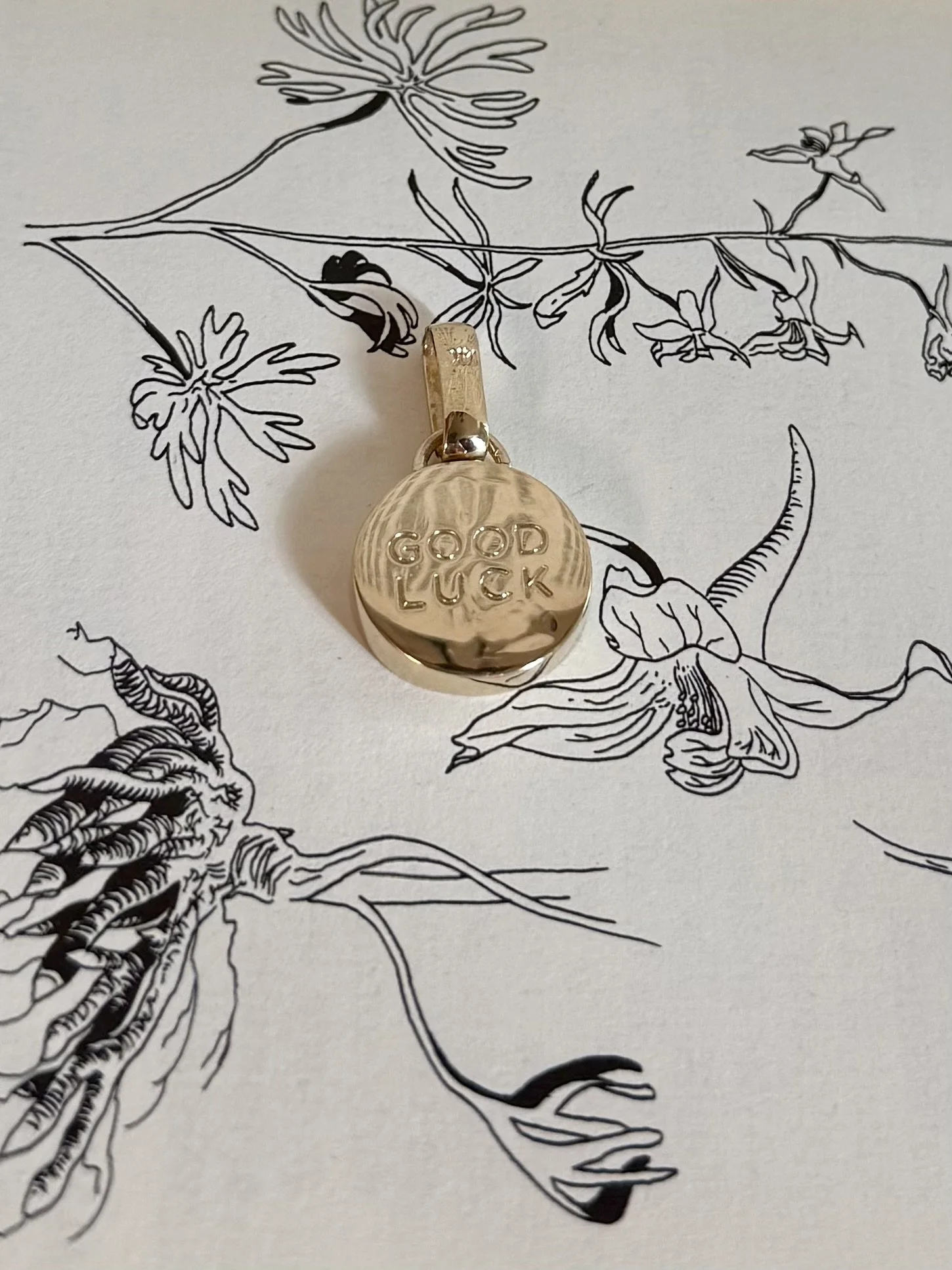 IMG_3369.jpeg (Copy)