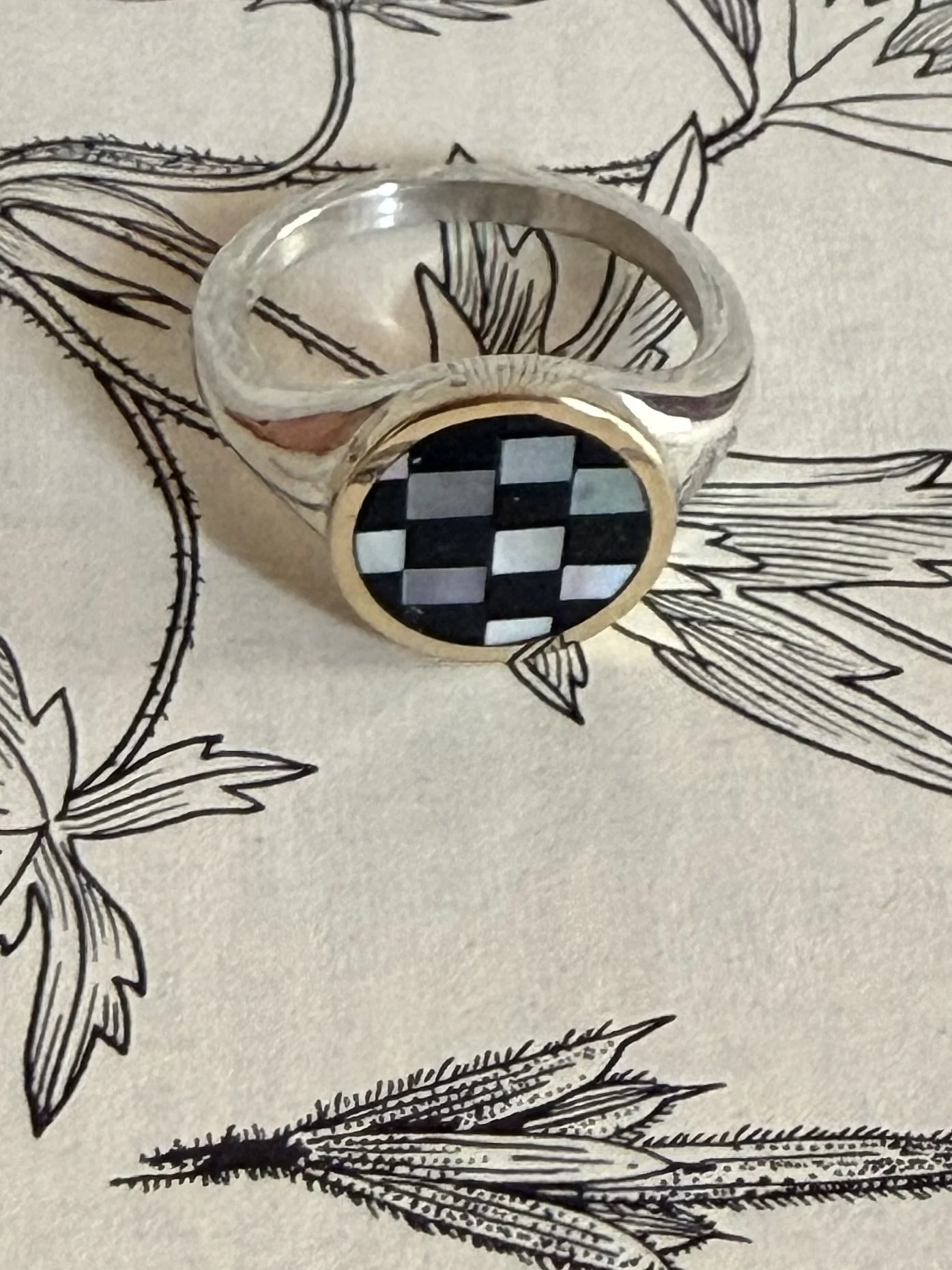 IMG_3360.jpeg (Copy)