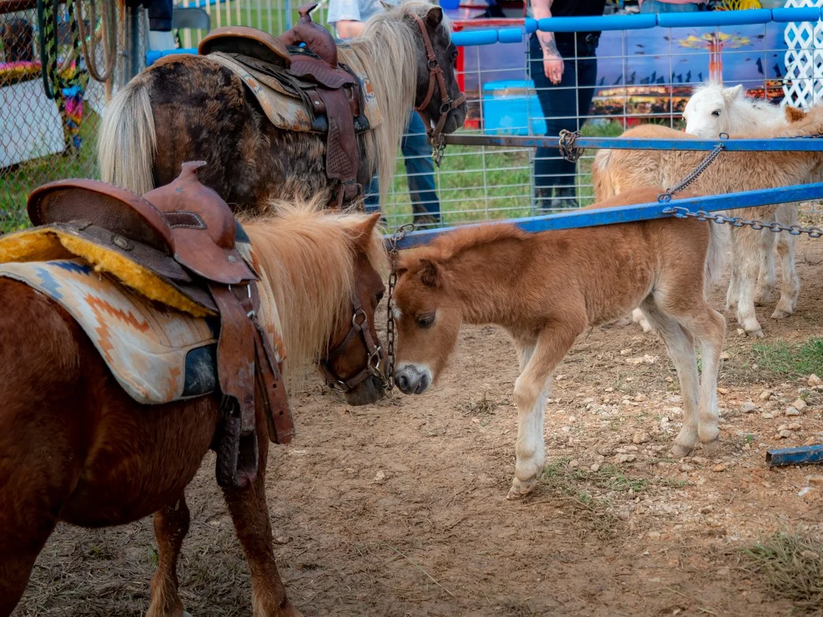 _5015434_HMClark Photography.jpg