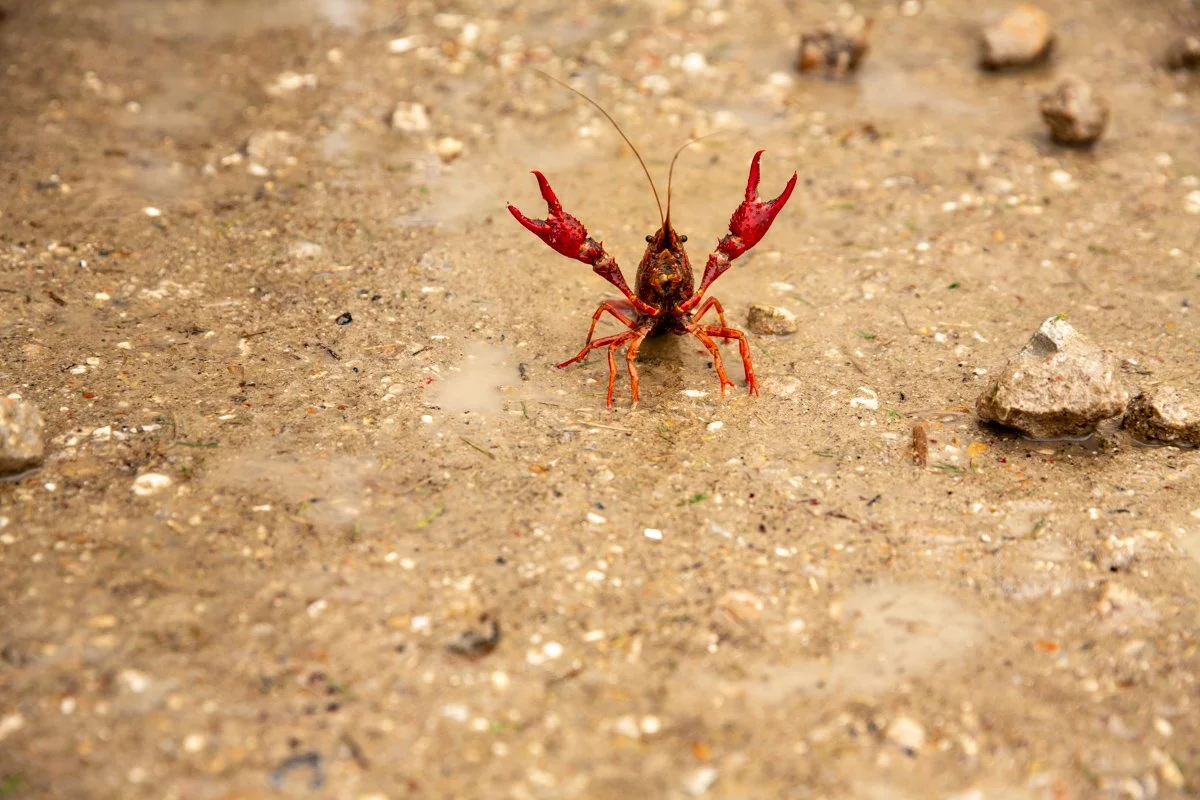 _G9A3230_HMClark Photography.jpg