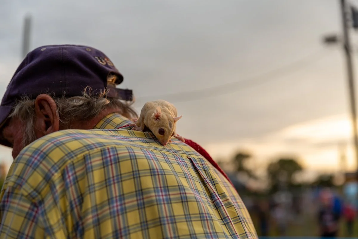 _G9A3780_HMClark Photography.jpg