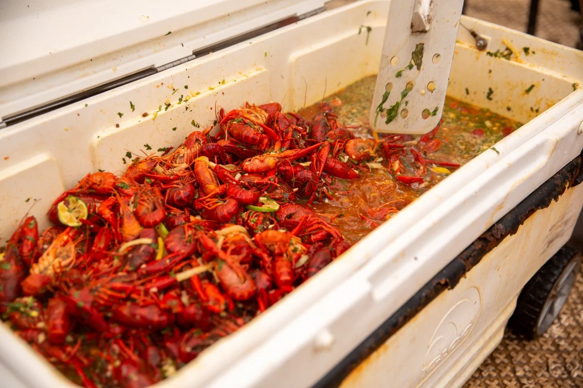 _G9A3181_HMClark Photography.jpg