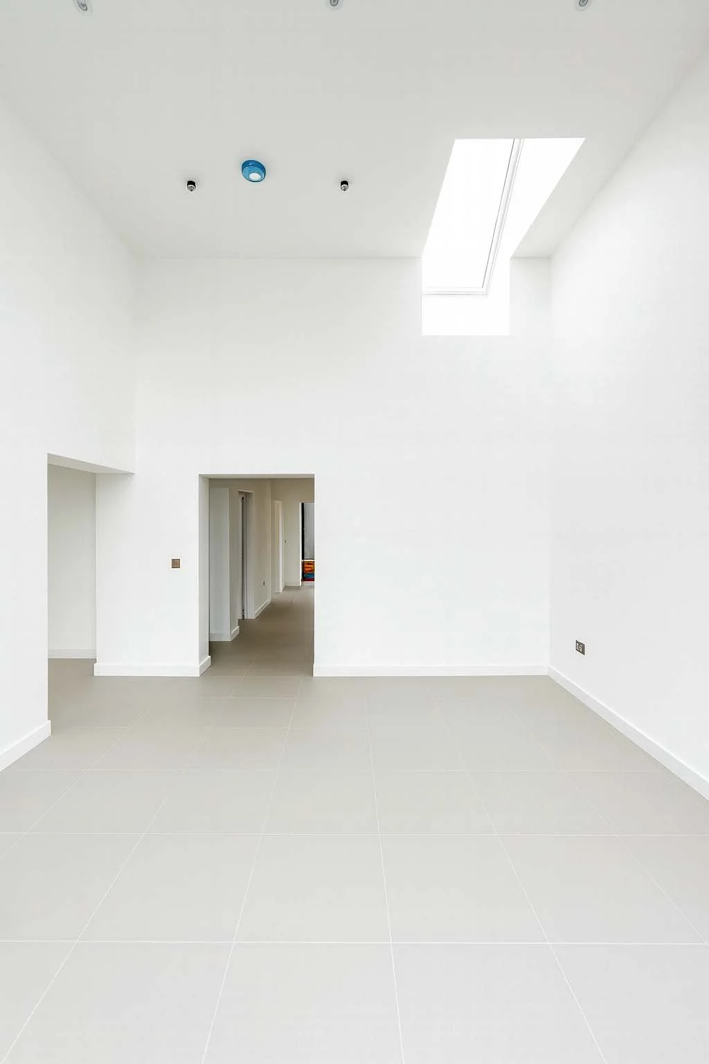 ChatGPT Image Sep 10, 2025 at 11_24_07 AM.jpg