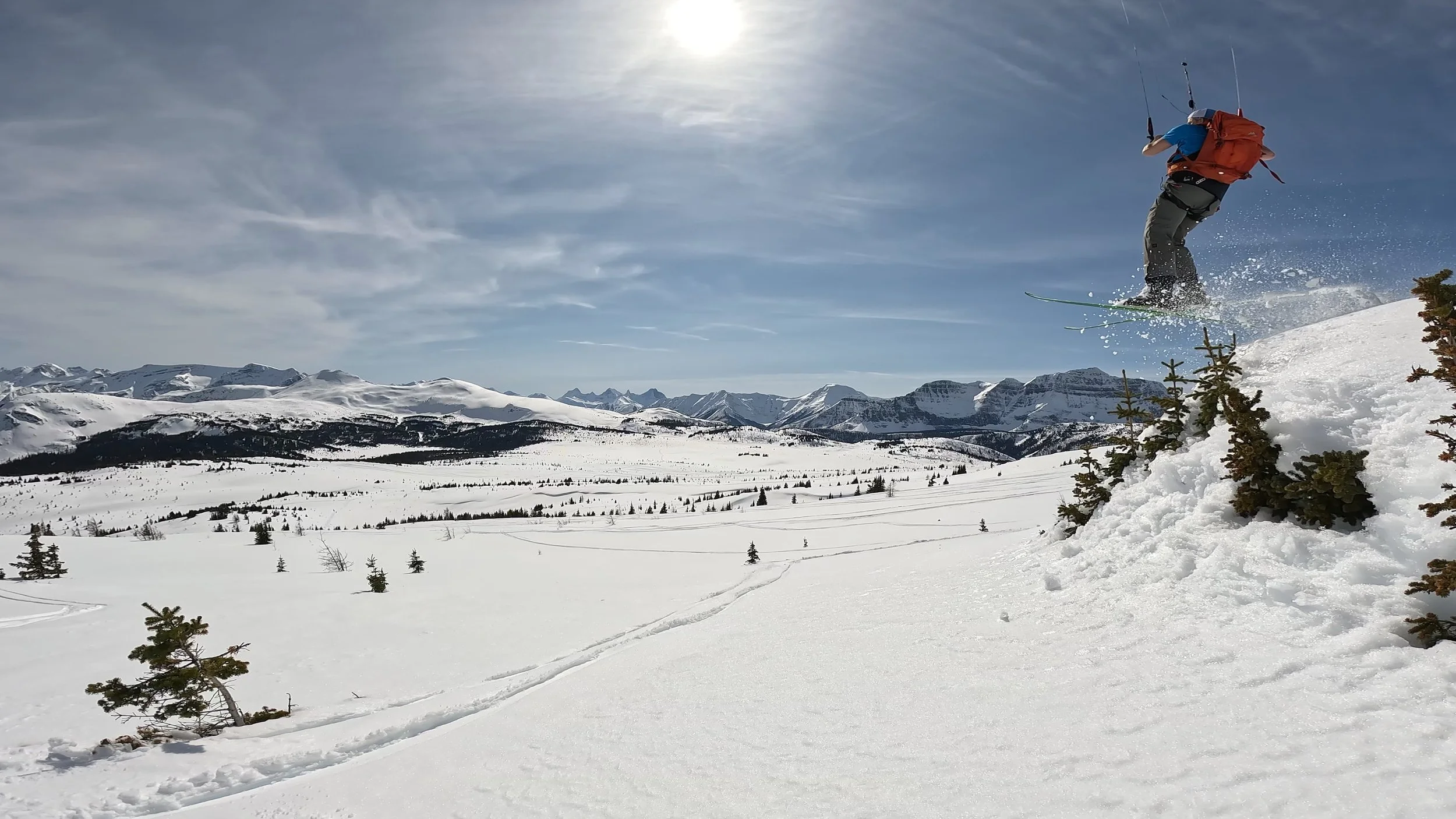 sunshine meadows