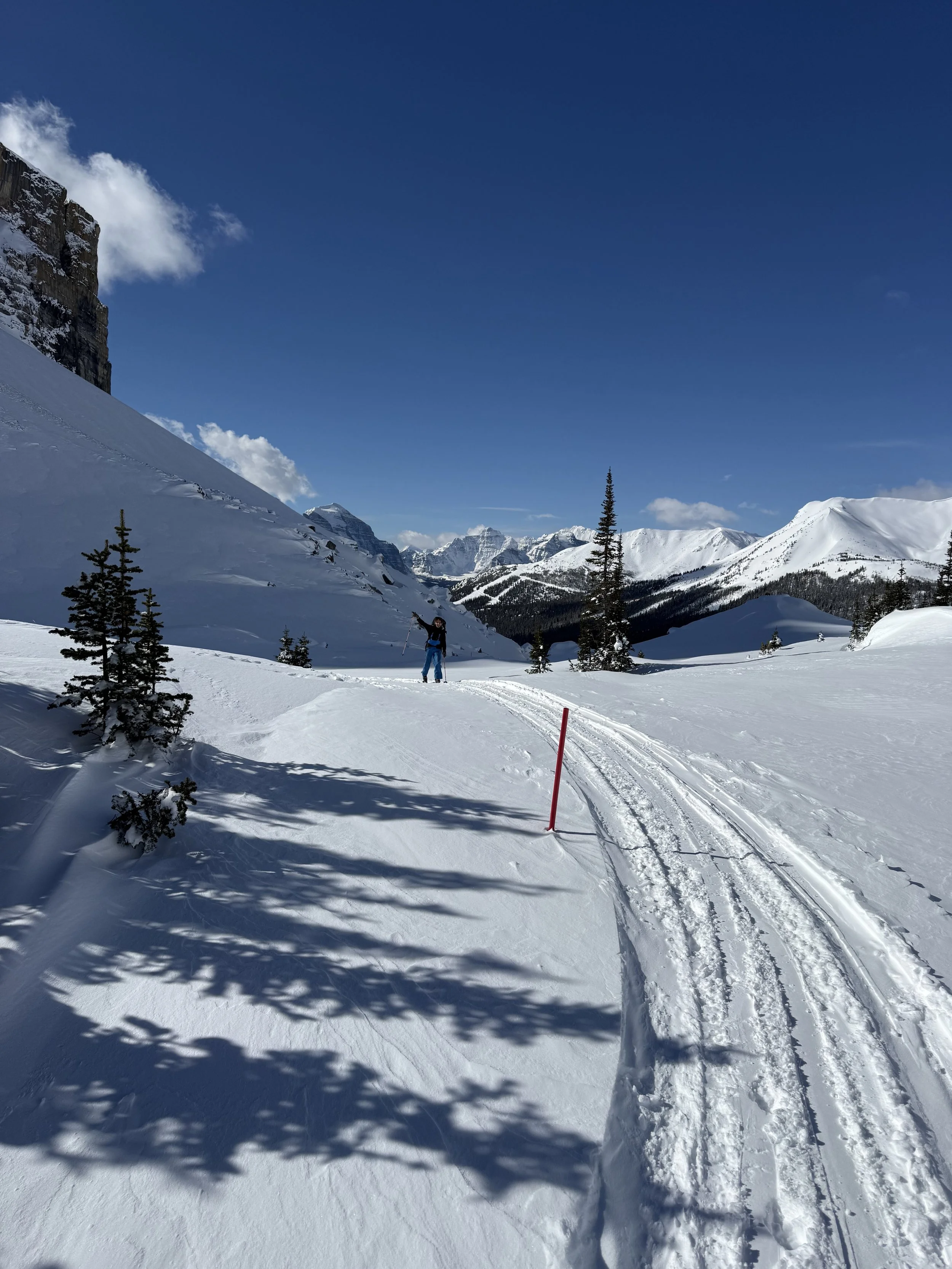 A person skiing in a snowy mountain landscape with tall trees and mountains in the background under a clear blue sky.