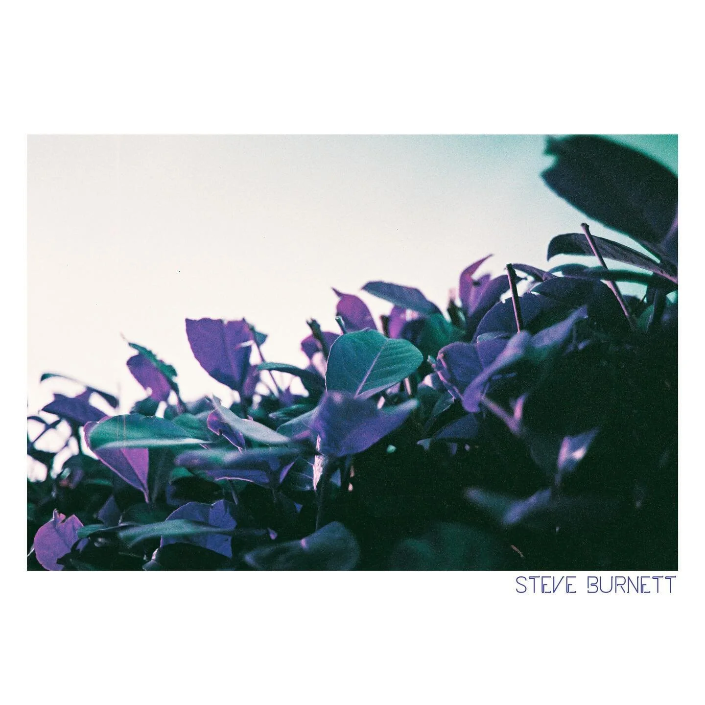 Lomo P: Purpleafy
.
ποΈ Lomochrome Purple, shot at ISO 200
π· Nikon F301, Nikkor 35mm f2
.
It’s a lovely lot of leaves, a lovely lot of leaves, a lovely lot of leaves yes it is yes it is
.
#nikonf301 #lomography #lomochromepurple #purple #purpl