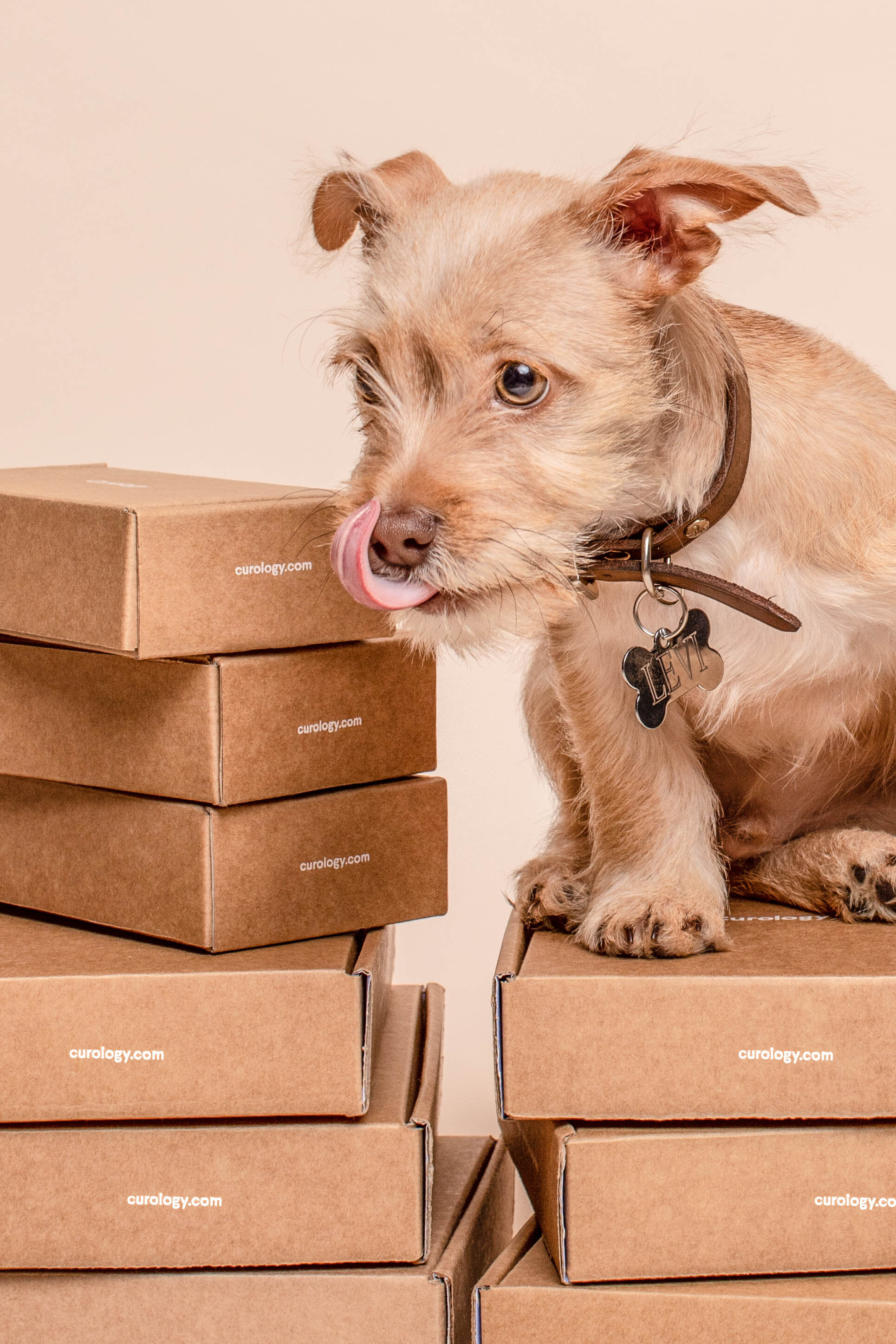 Box Shipping Service