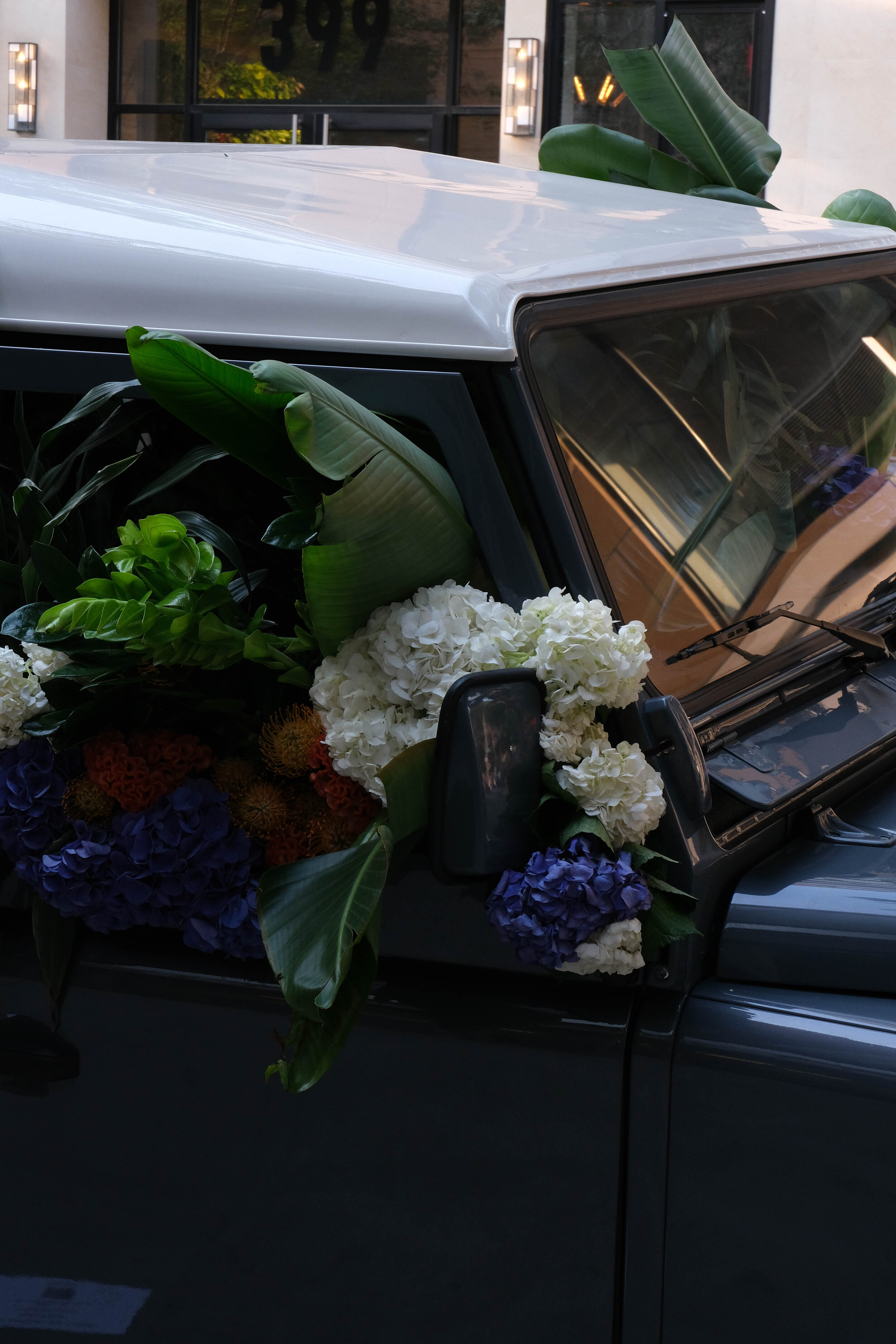 DSCF3259.jpg