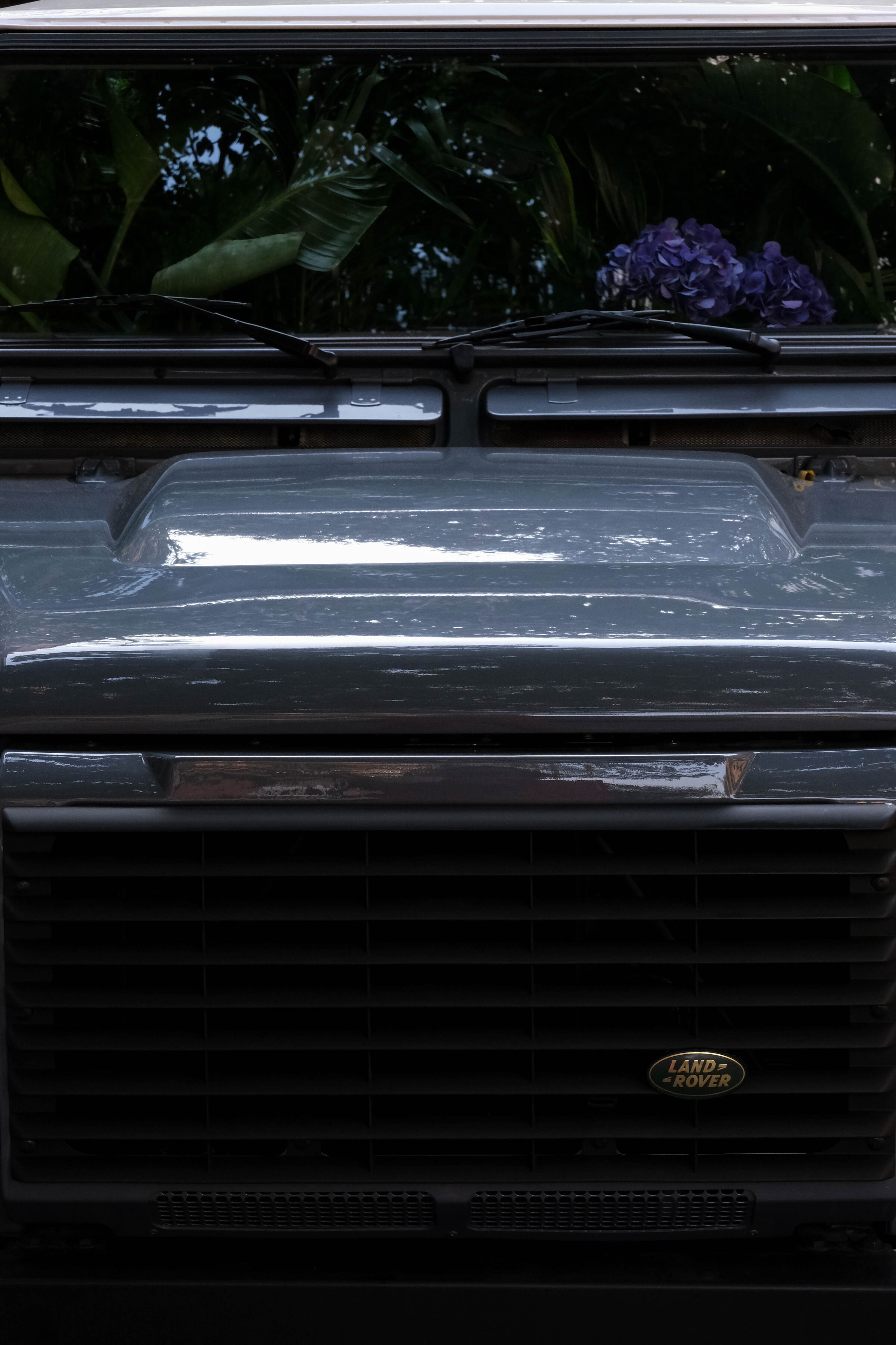 DSCF3258.jpg