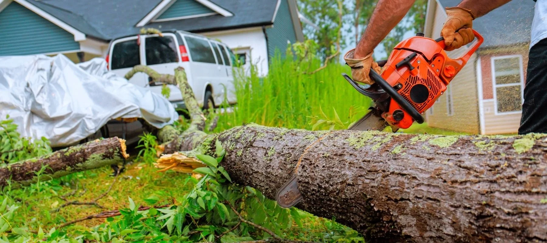 Restoring Your Home After Wind and Storm Damage with NorCal Restoration