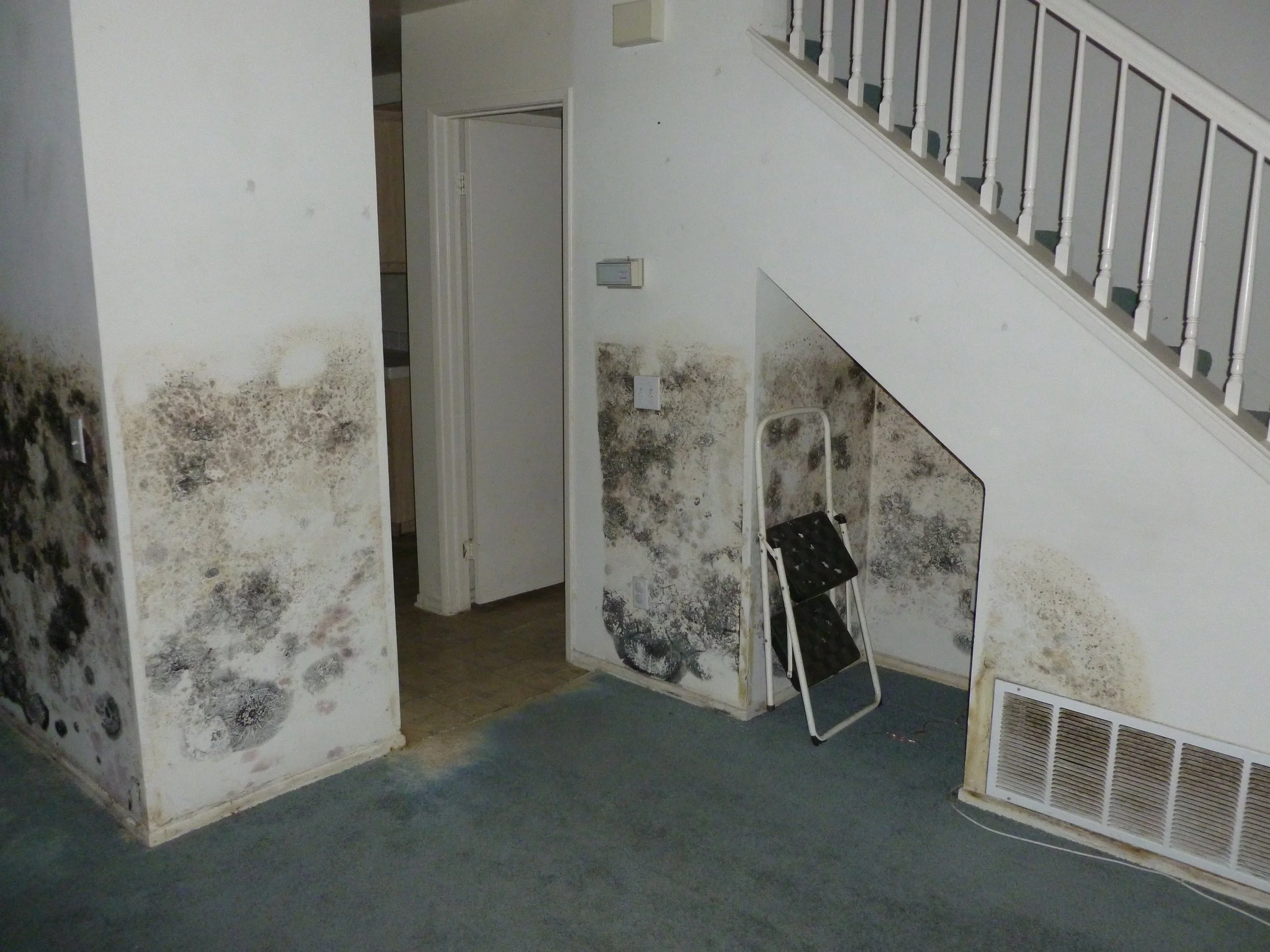 Mold growth on interior wall near staircase and doorway in a house in Shasta County.