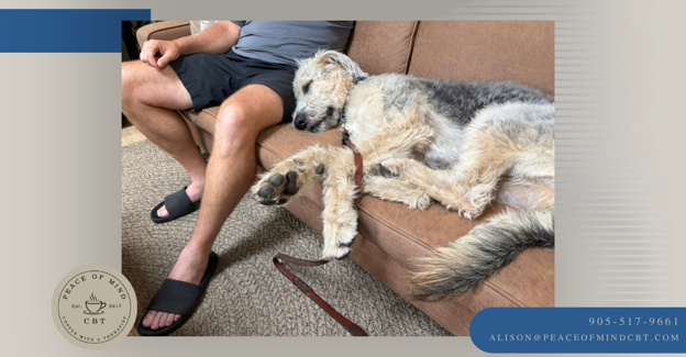 Therapy dog resting beside a first responder during a Trauma Therapy session at Peace of Mind CBT.