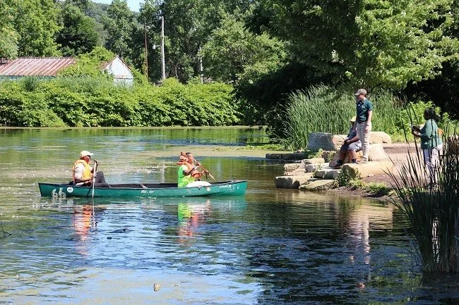 Environmental Sustainability in the Commons