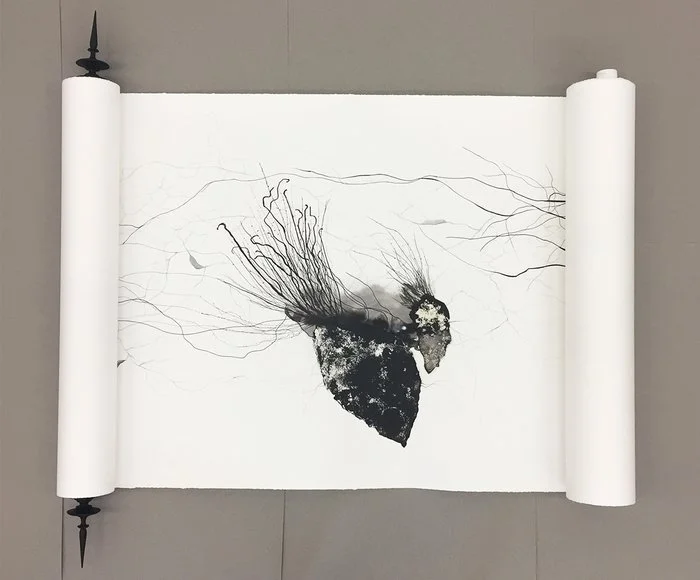Lizzie Brewer, 10 Meters Scroll