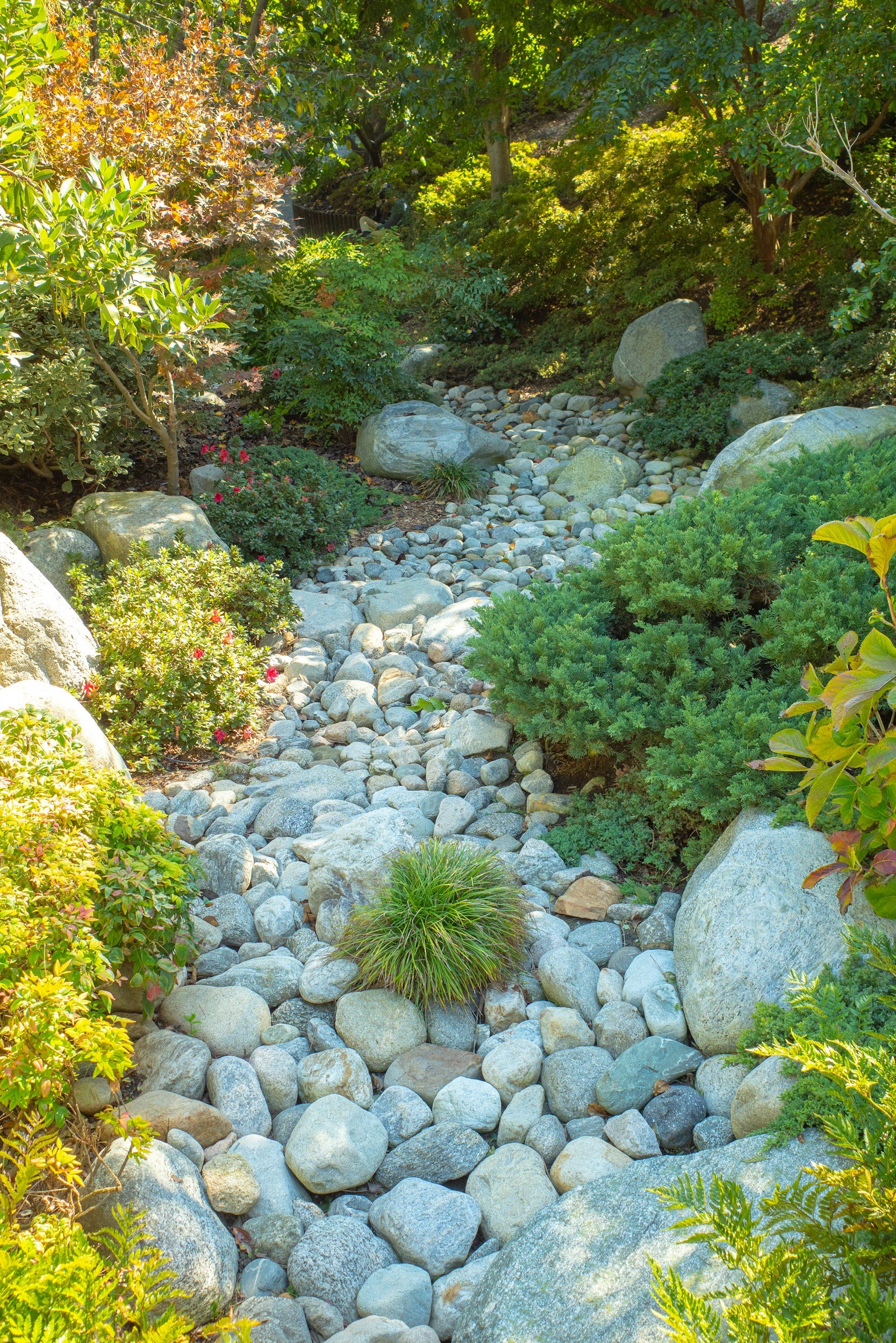 Dry Wells & Rain Gardens