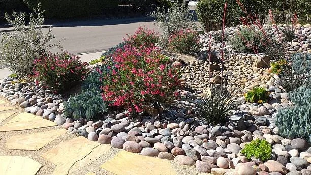 How to Beat Nanaimo’s Watering Restrictions with Xeriscaping