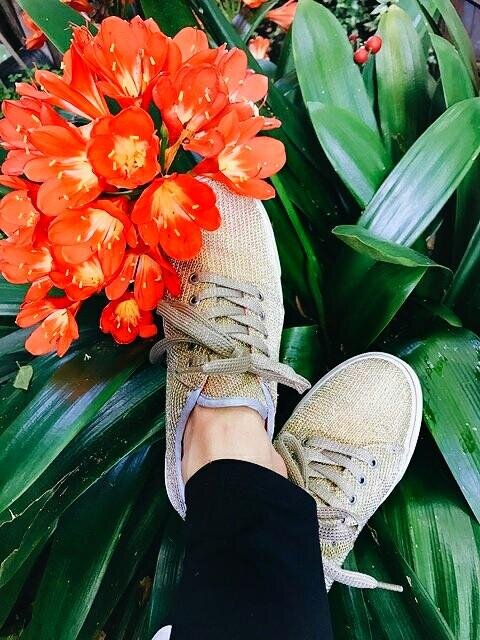 Magic_shoes_1000x.jpeg