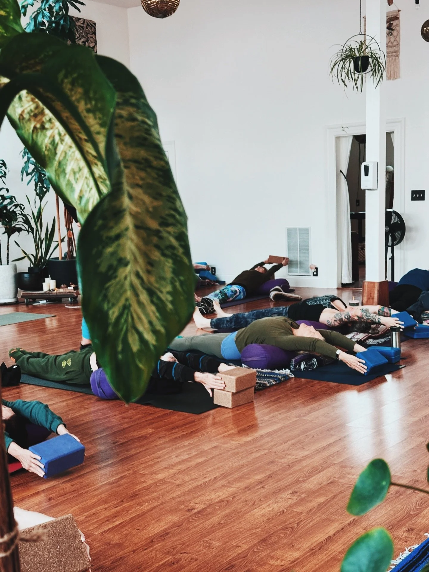 Grateful for each other and a safe space to feel 💗

#bayareayogastudios #yogainalameda #bayareayoga #breathingroom