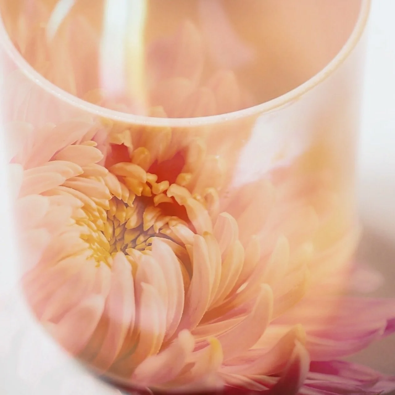 Friday March 20th 🌸 7-8:15 @heartsongdoc 

In this special Spring Equinox sound bath meditation practice, we honor the seasonal transition by taking a moment to integrate the lessons and gifts of the winter months, and envision what it might be like