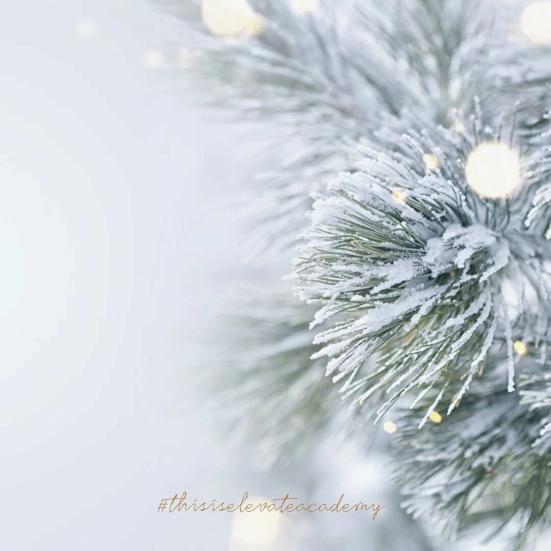 Home Elevate Academy