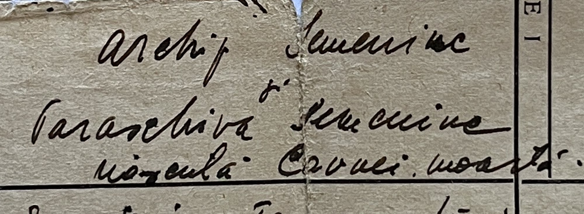  Excerpt from Grandma Maria’s marriage certificate, Feb 1945.   Under the ‘parents’ section reads: Archip Semeniuc and Paraschiva Semeniuc, nee Caunei, dead. 