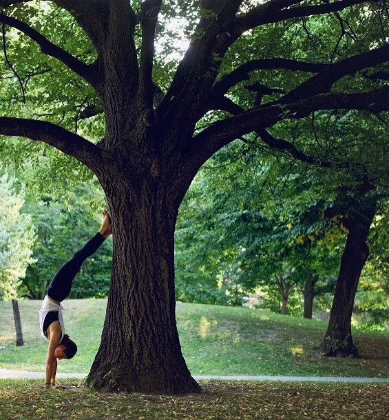 Spring ‘a time to bloom’